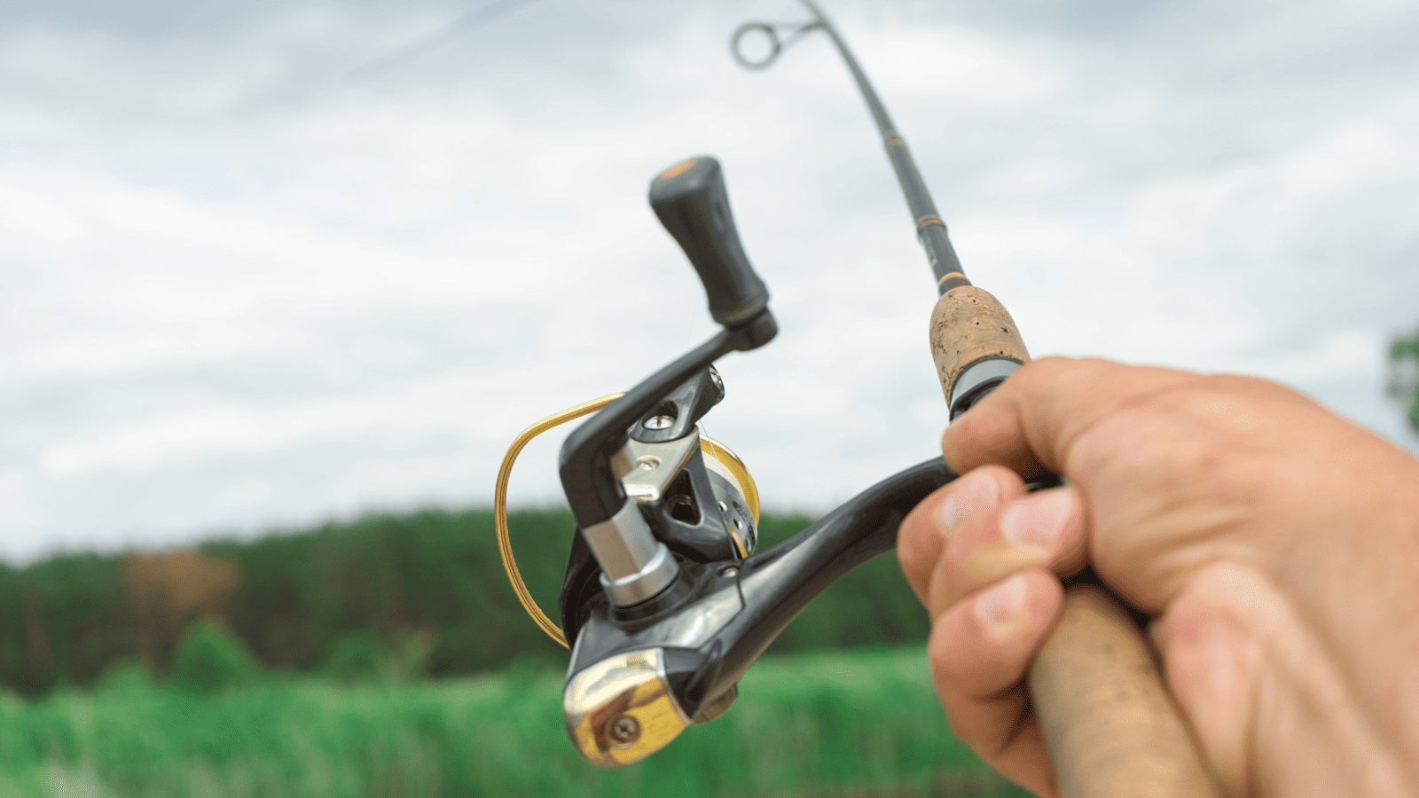 Fishing rod close up