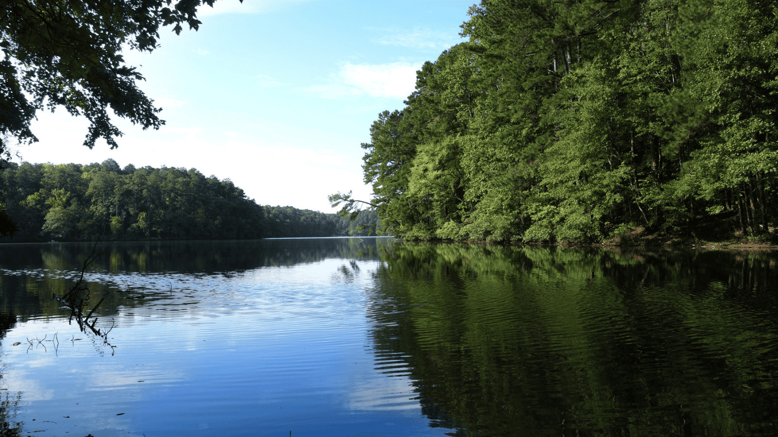 Lake Johnson, North Carolina 