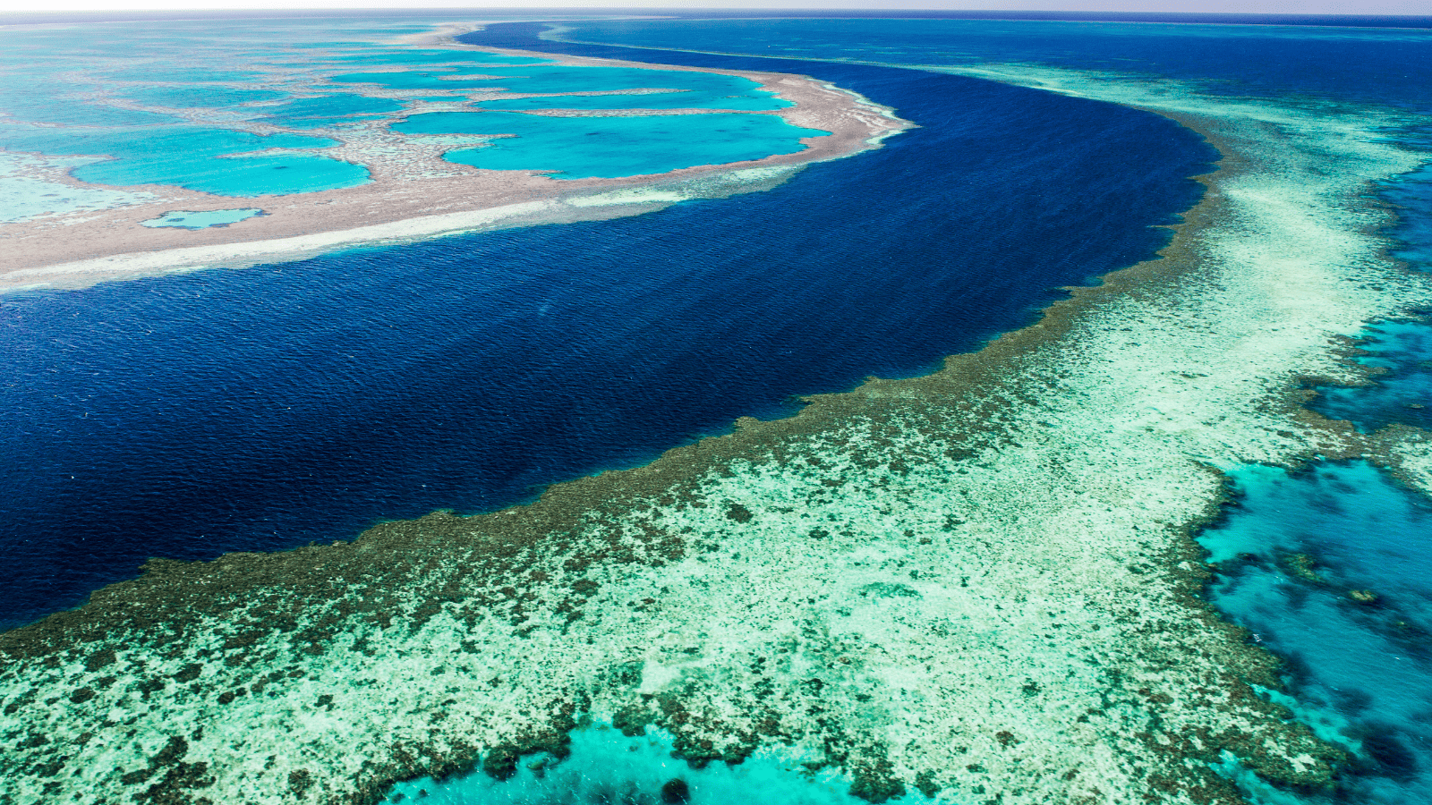 Great Barrier Reef Australia Canva