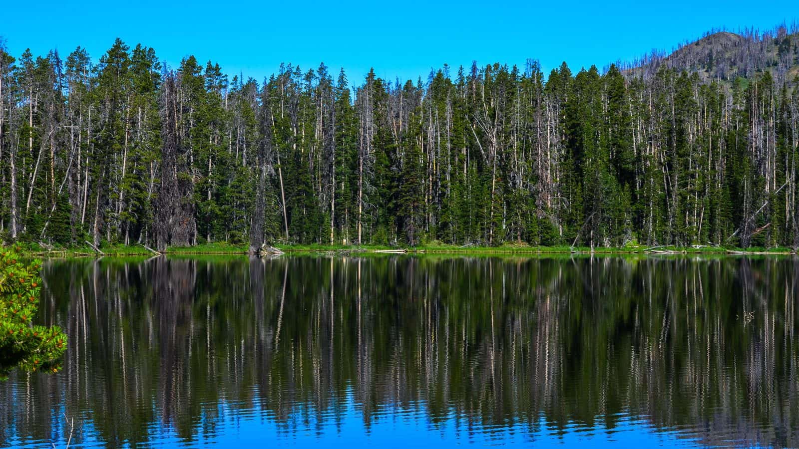 Grebe Lake