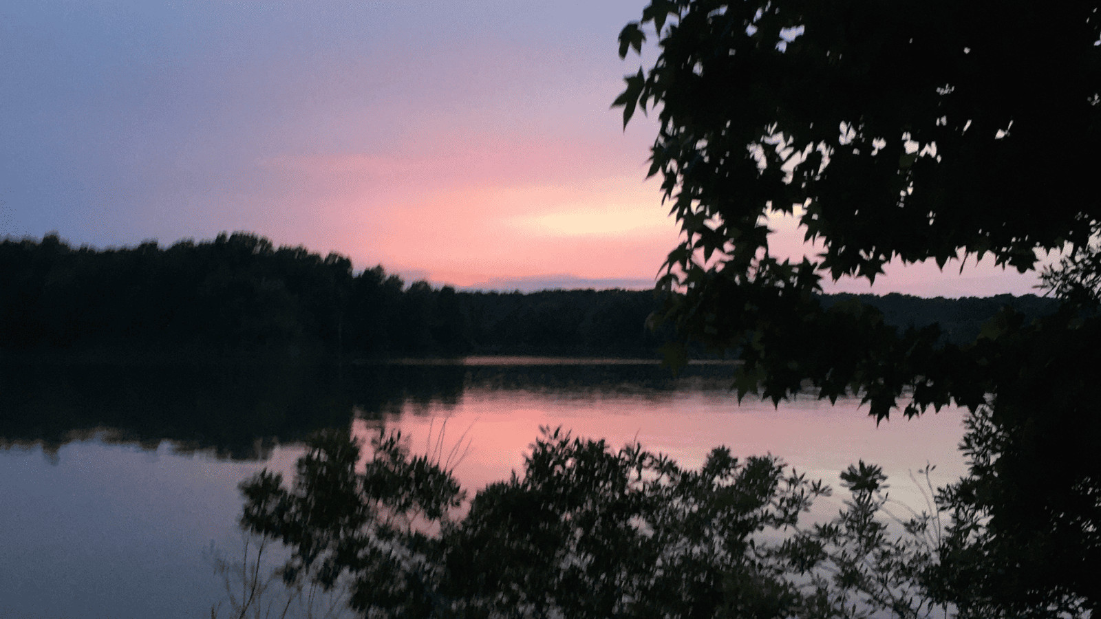 The 15 Most Breathtaking Lakes in Mississippi 3 Grenada Lake