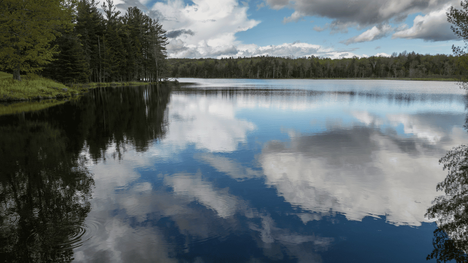 The 13 Best Lakes in VT Revealed 7 Griffith Lake Canva