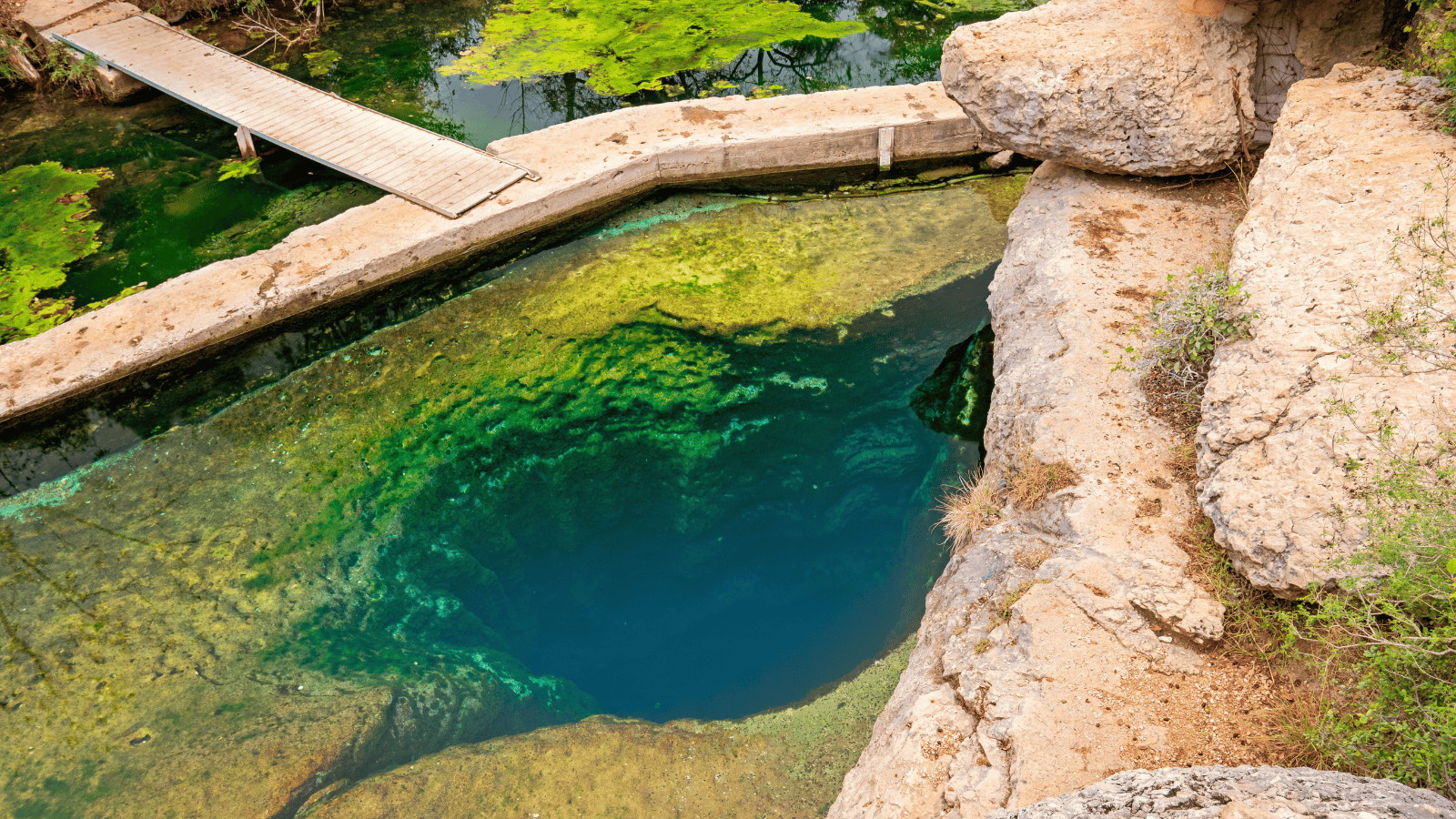 Exploring The Lone Star State: 11 Unmissable Things to Do 11 Jacob s Well Canva