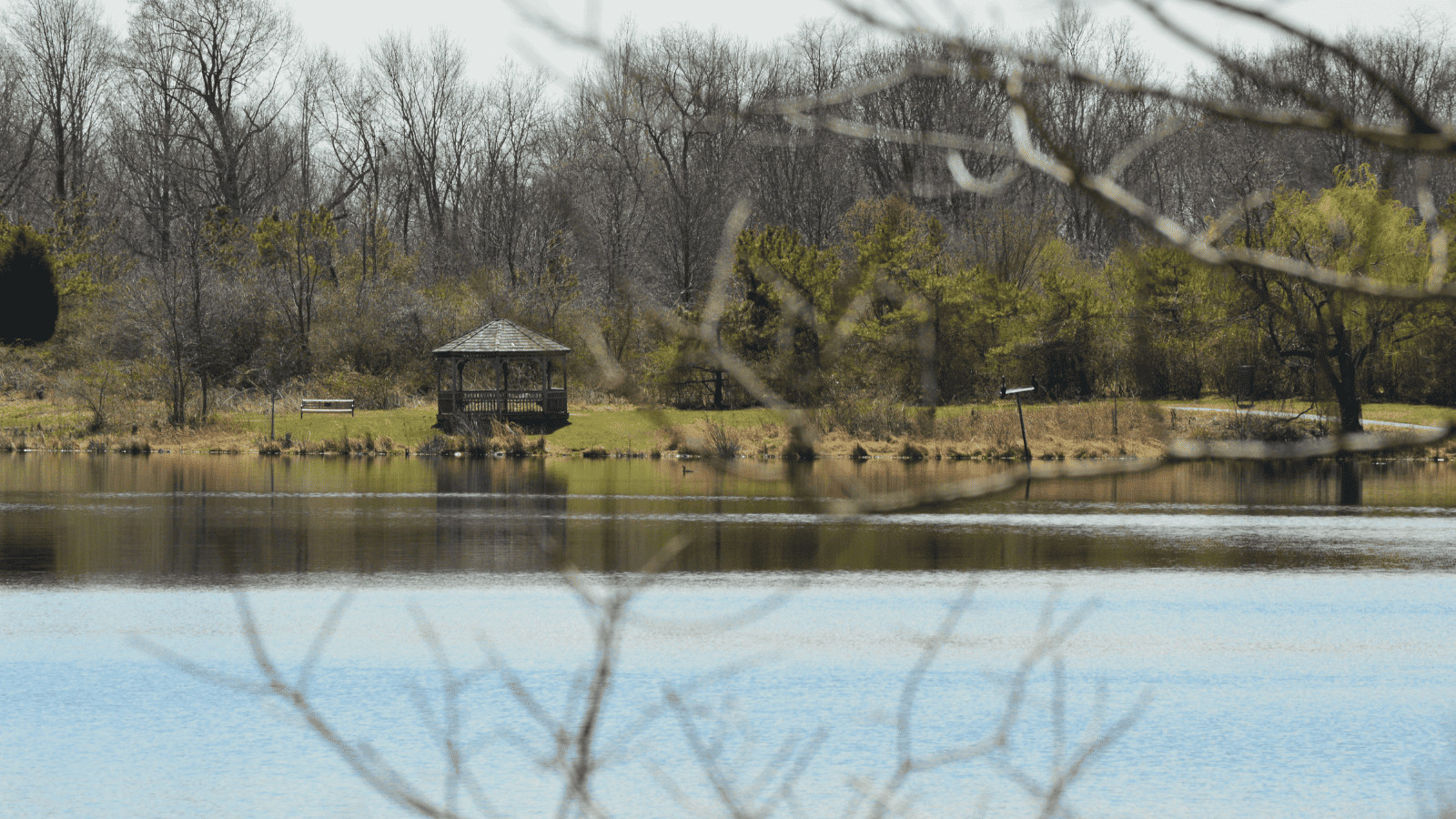 Discover the 15 Most Beautiful Lakes in Maryland 3 Lake Artemesia Canva