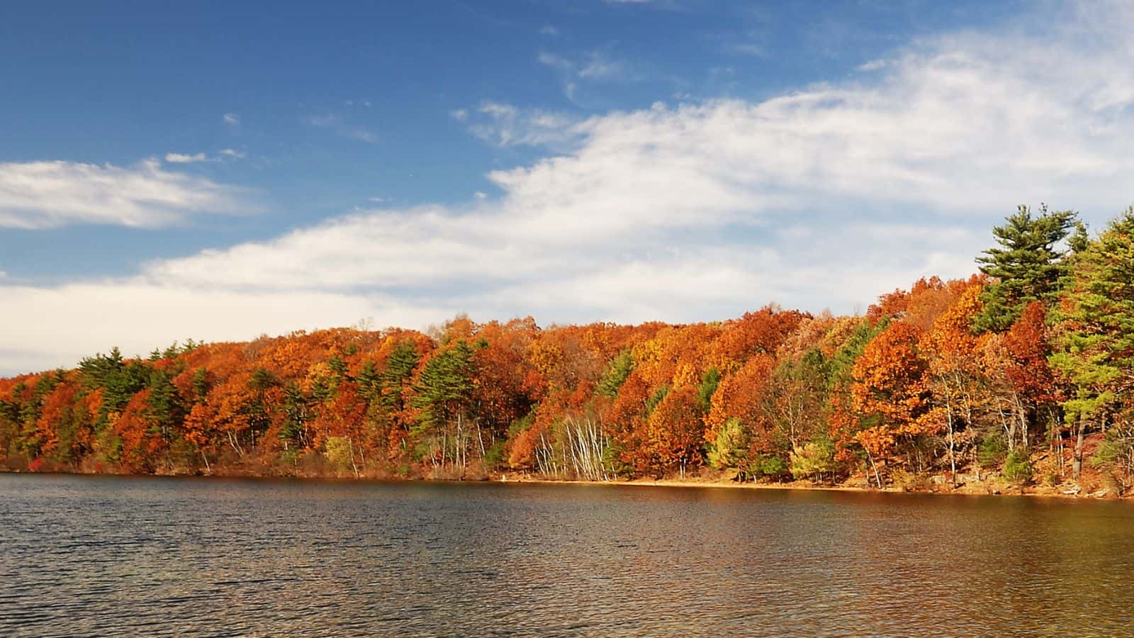 Discover The 15 Most Beautiful Lakes In Maryland