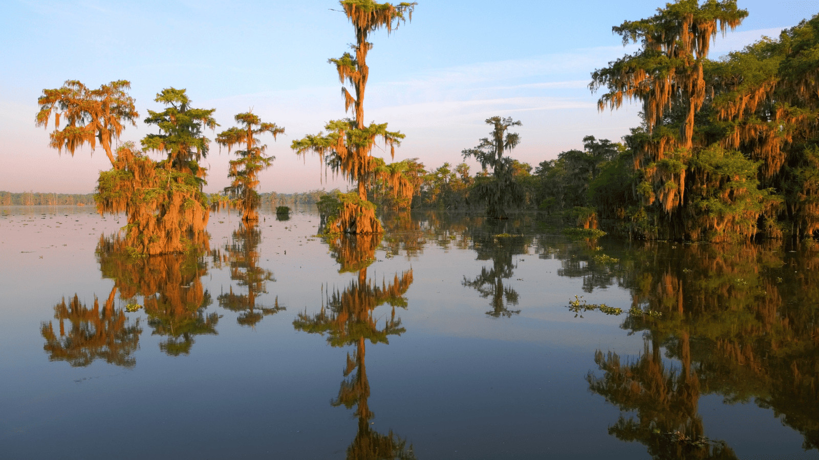Dive into the Magic of the 17 Best Lakes in Louisiana 8 Lake Bistineau Canva