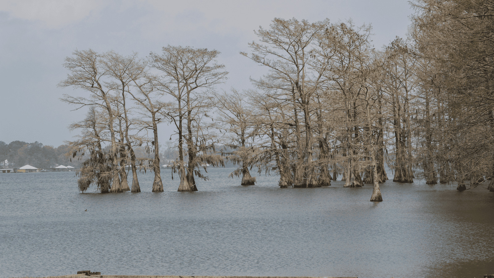 Dive into the Magic of the 17 Best Lakes in Louisiana 9 Lake Bruin Canva