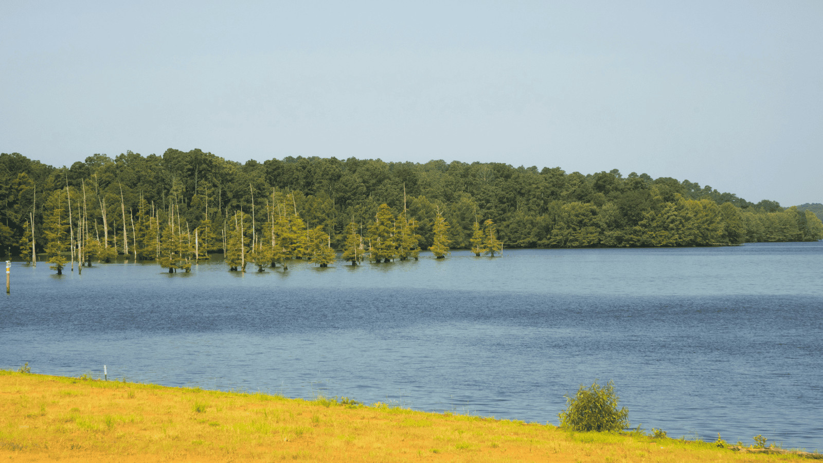 Dive into the Magic of the 17 Best Lakes in Louisiana 10 Lake D Arbonne Canva
