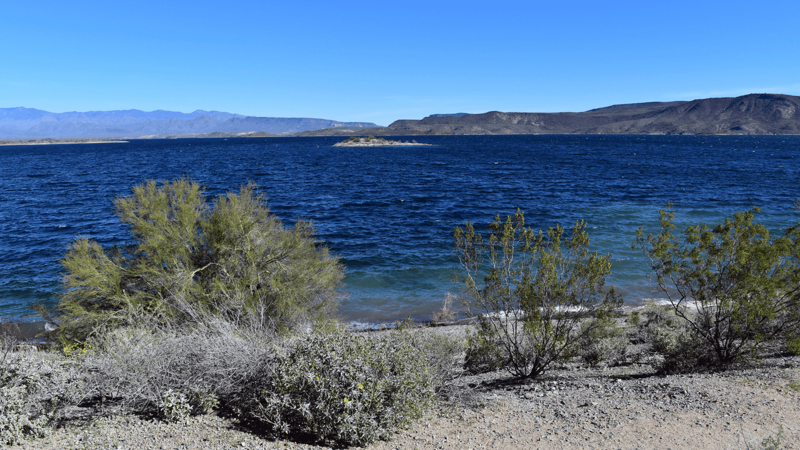 Desert Oasis: Exploring the Best Lakes in Phoenix 7 Lake Pleasant