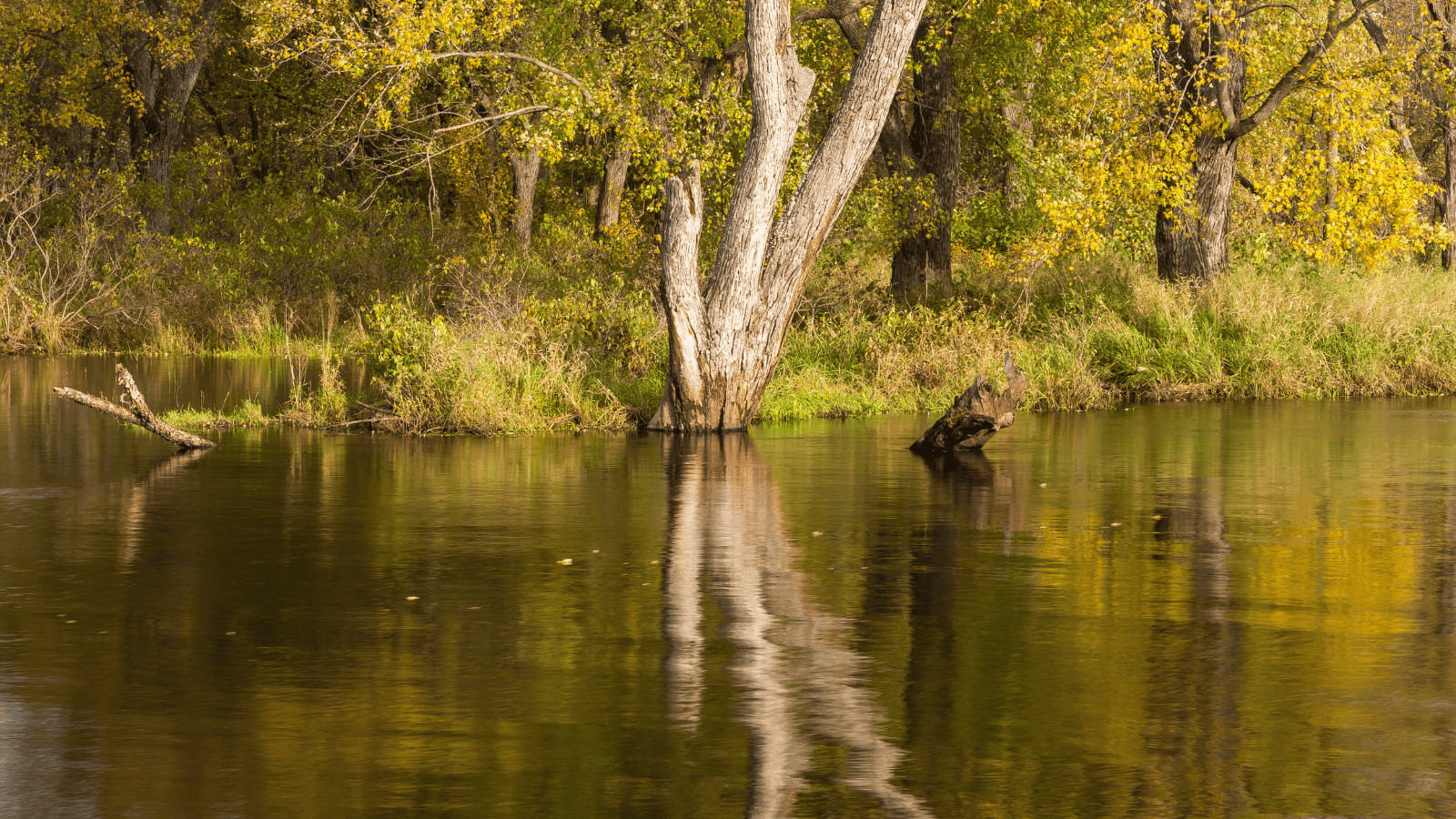 The 15 Most Breathtaking Lakes in Mississippi 7 Lake Washington