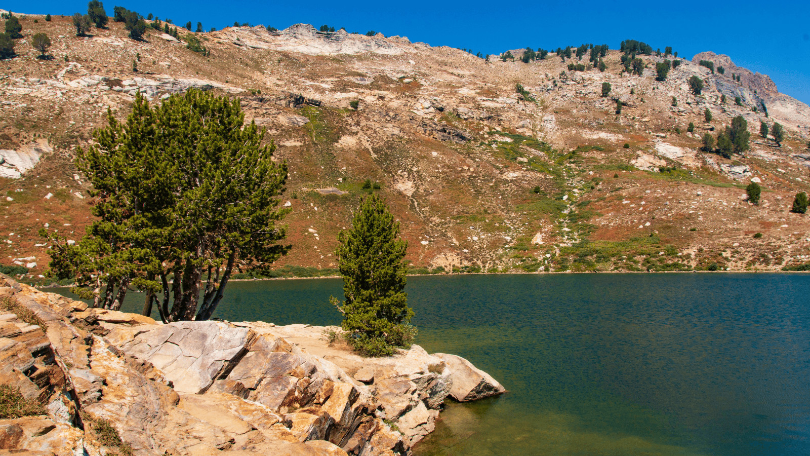 Explore the Most Breathtaking Lakes in Nevada 10 Lamoille Lake Canva