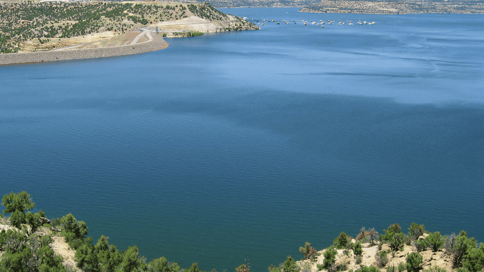 The Must-Visit Lakes in NM for an Unforgettable New Mexico Adventure 5 Navajo Lake Canva