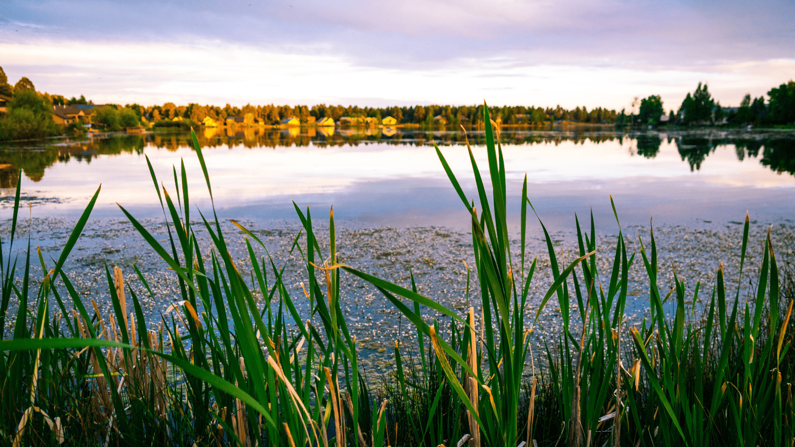 Discovering Colorado Springs: 12 Serene Lakes in the Rockies 12 Quail Lake