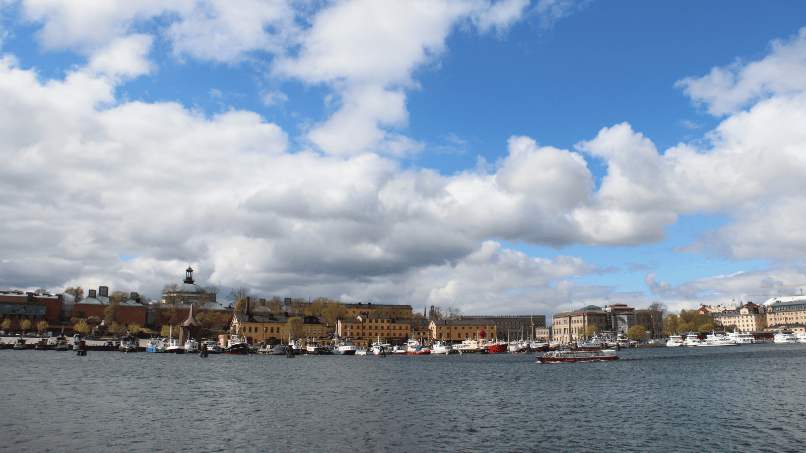Stockholm: A Handbook to the Best Experiences 4 Royal Djurgarden