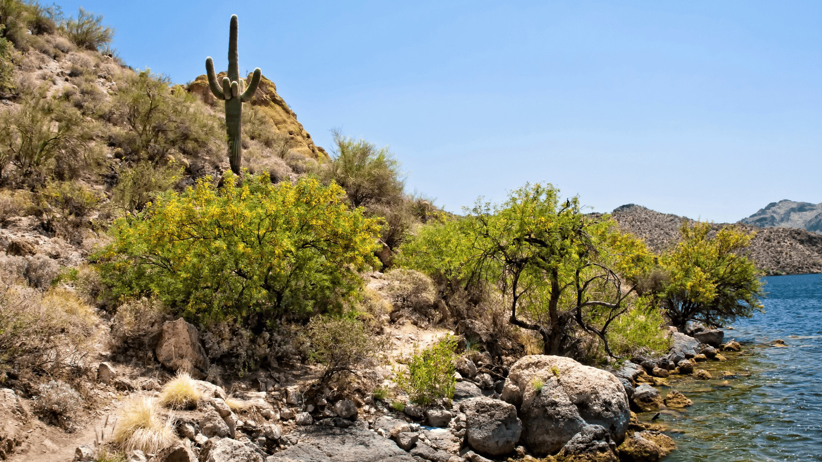 Desert Oasis: Exploring the Best Lakes in Phoenix 9 Saguaro Lake