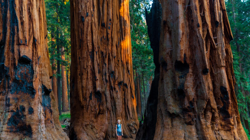 Ranking The 9 National Parks in California