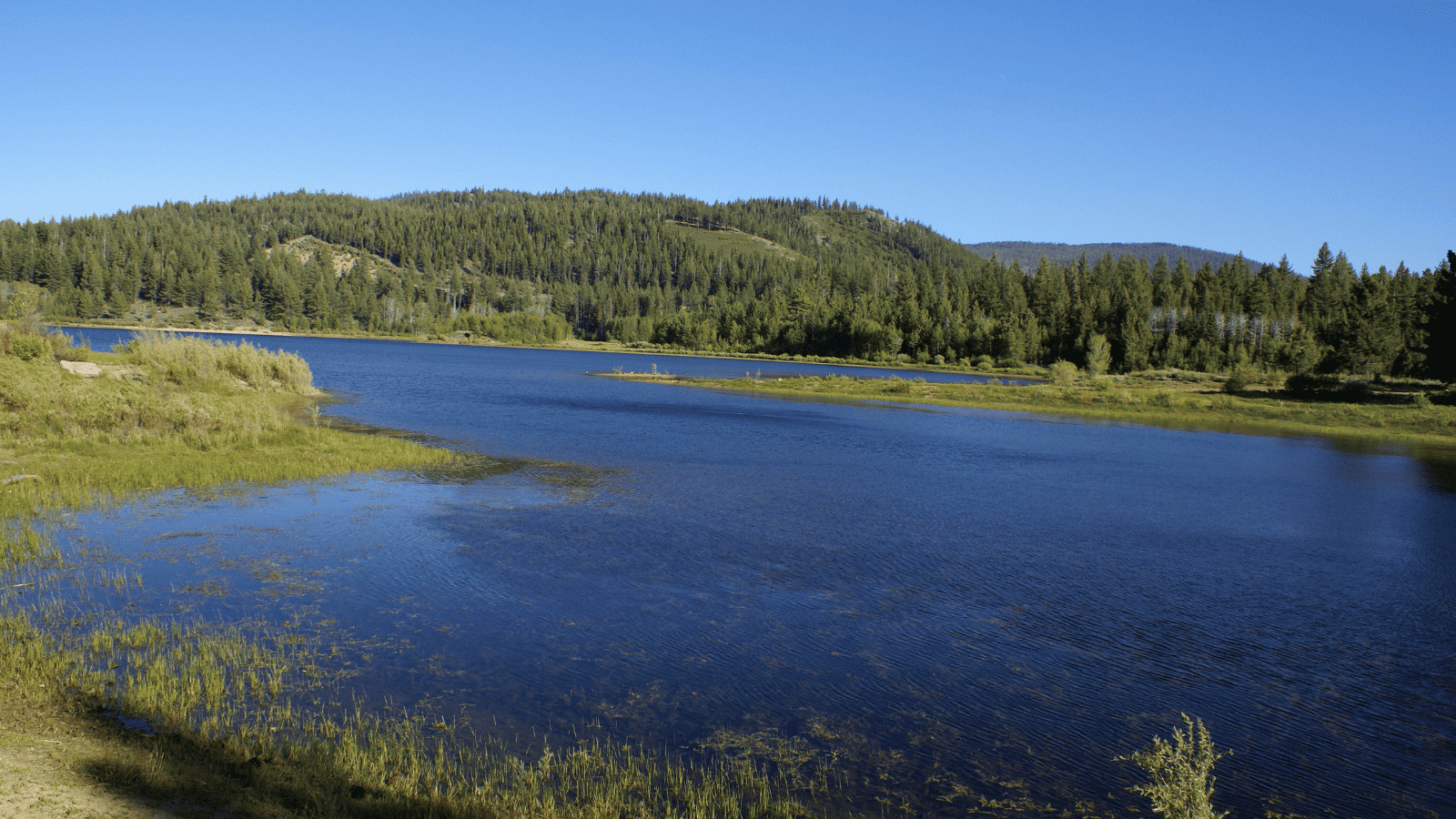 Explore the Most Breathtaking Lakes in Nevada 12 Spooner Lake Canva