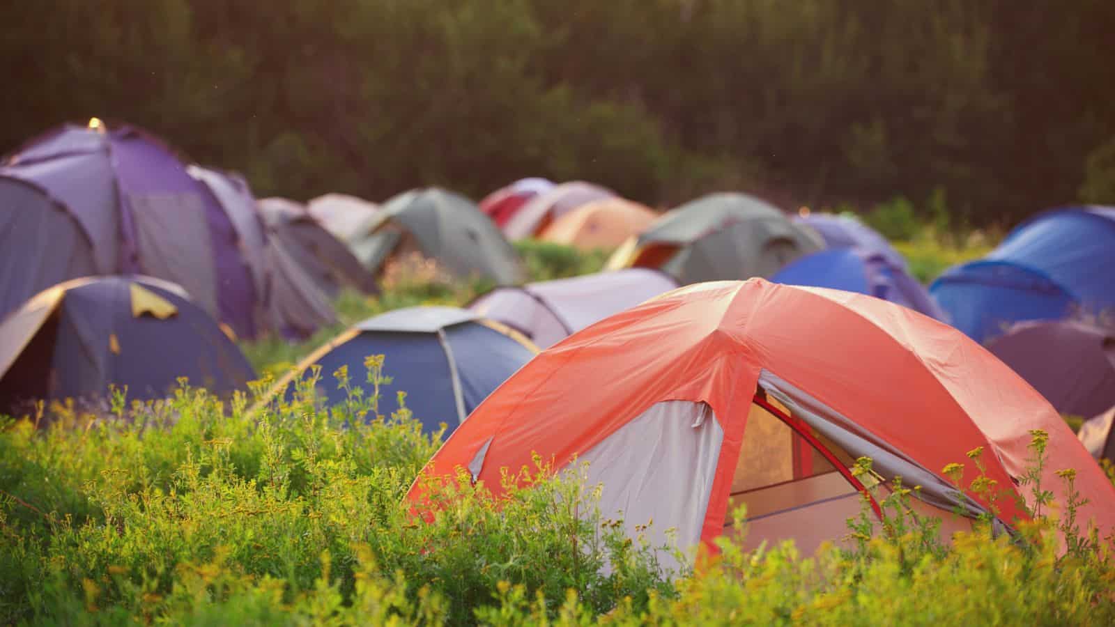 Tents at a festival