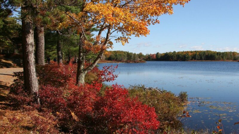 Jewels of the Northeast: Exploring Portland’s 7 Best Lakes