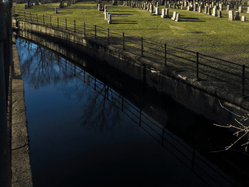 Breathtaking Views Await: 15 of the Best State Parks Near Boston 1 Alewife Brook Reservation