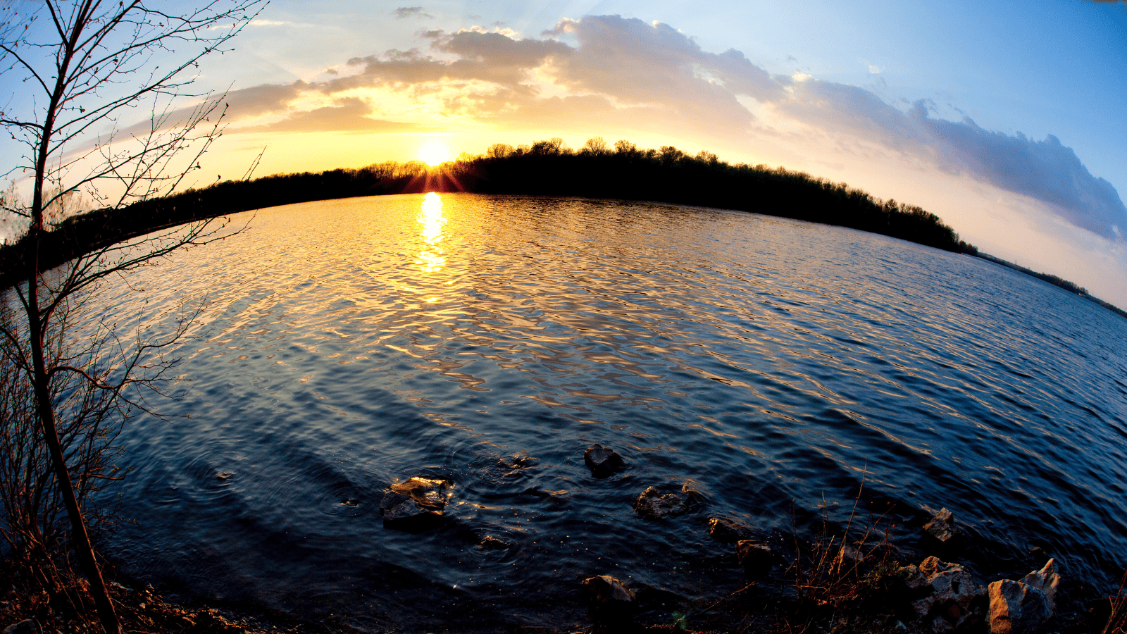 Creve Coeur Lake