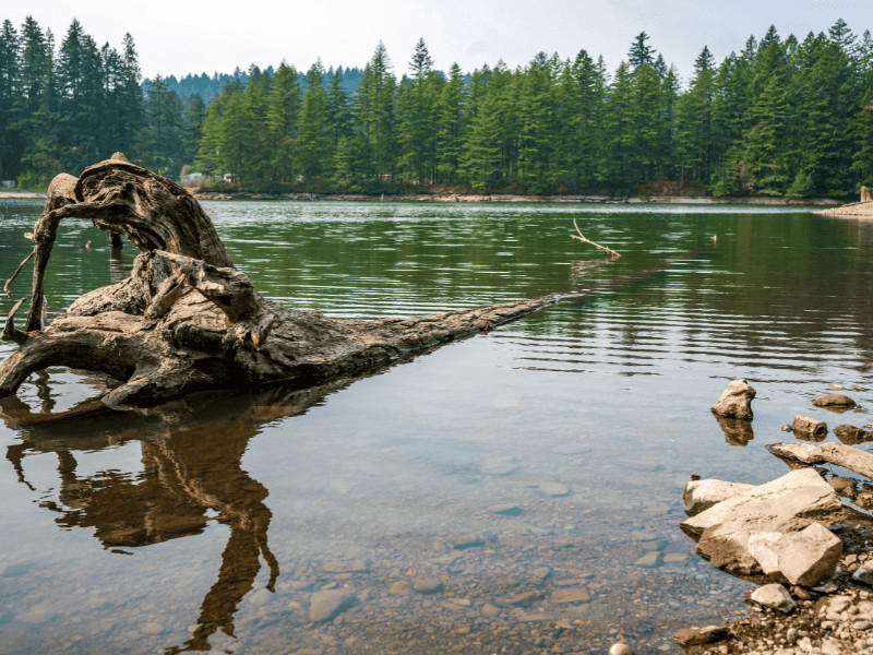 Lacamas Lake, Vancouver Washington