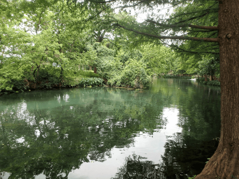 These 12 Hot Springs in Texas Are So Beautiful, They'll Take Your Breath Away 10 Comal Springs, Texas