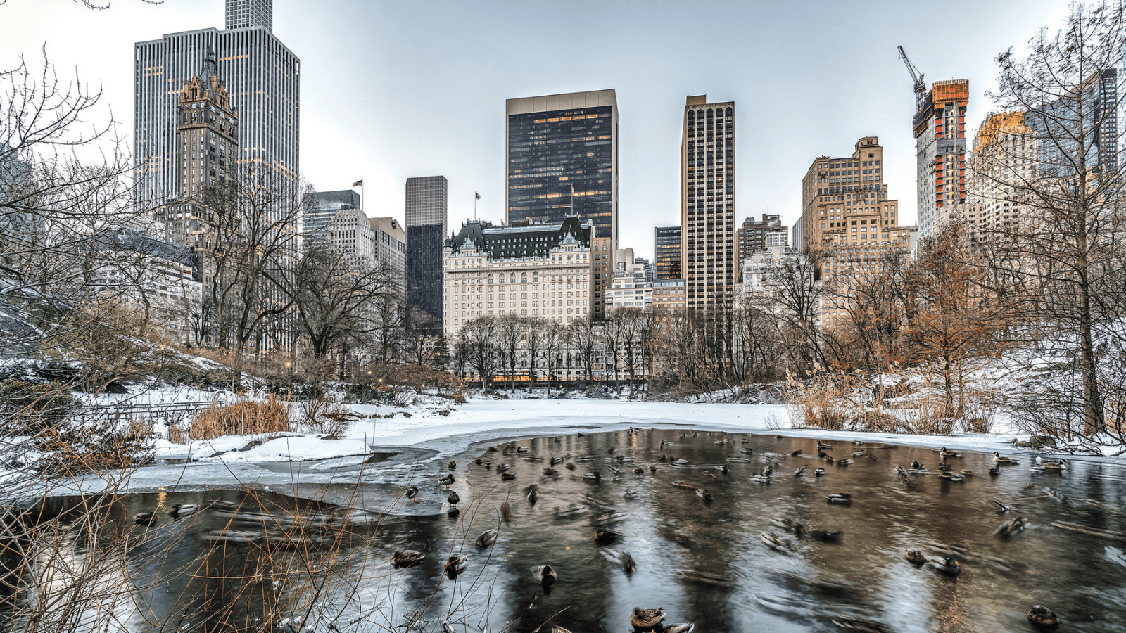 10 Holiday Movie Locations You Can Actually Visit This Holiday Season 7 Central Park in winter