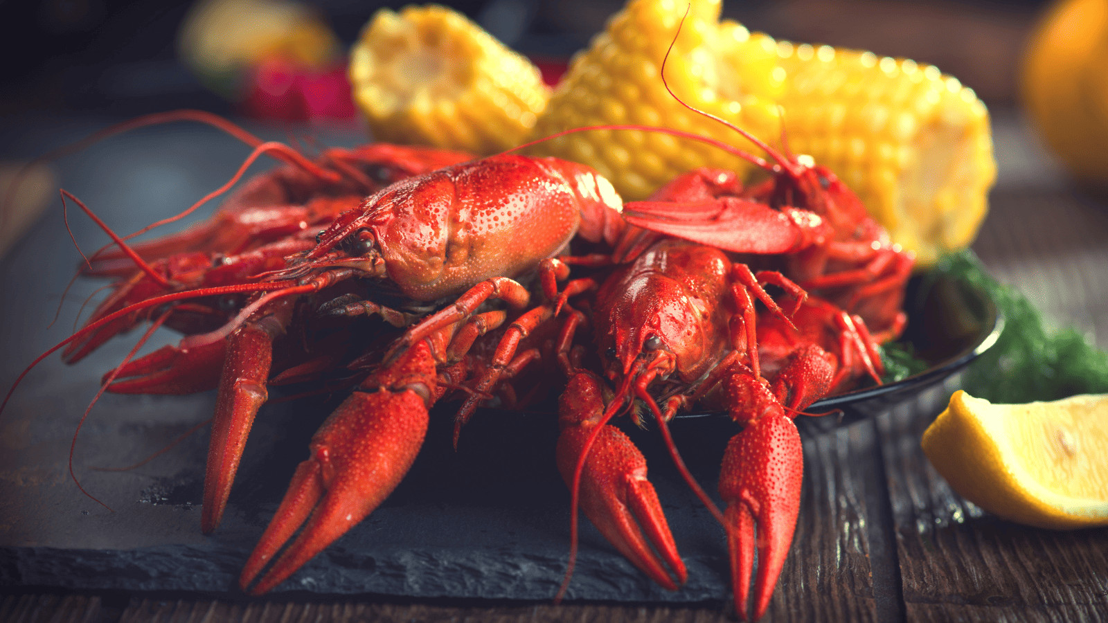 Guy Fieri's Louisiana Love Affair: 10 Must-Visit Restaurants from Triple D 7 Untitled design 23 5