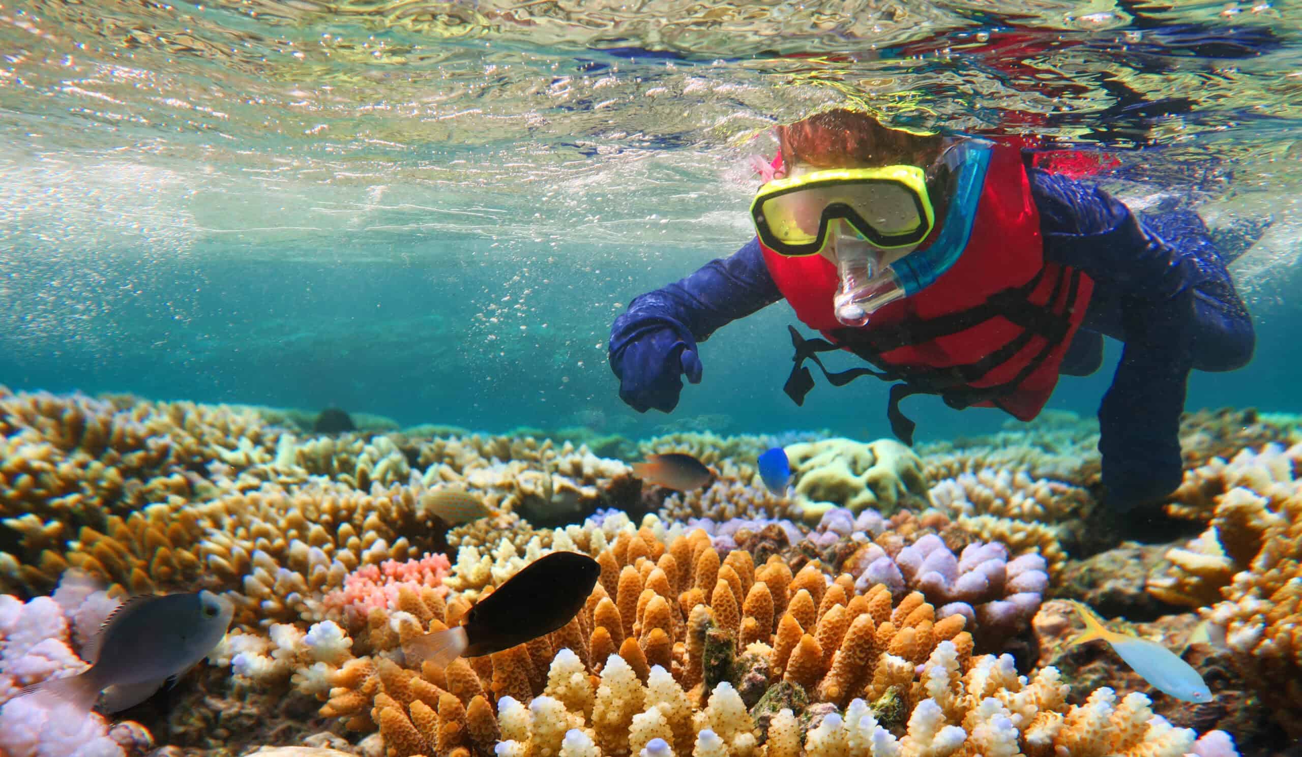 Great Barrier Reef, Australia