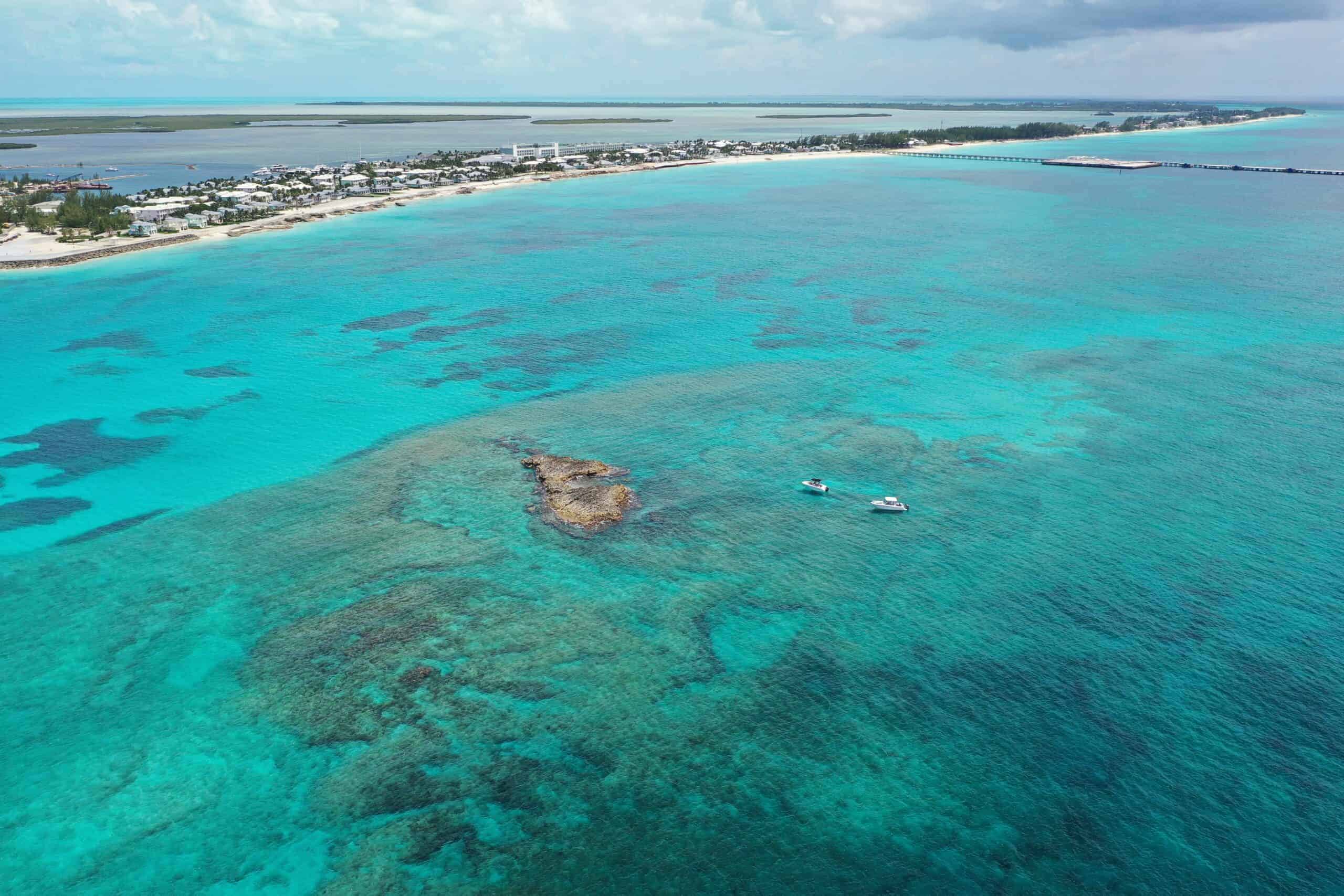 12 Places Around the World Where You Can Swim with Dolphins 2 Bimini, Bahamas