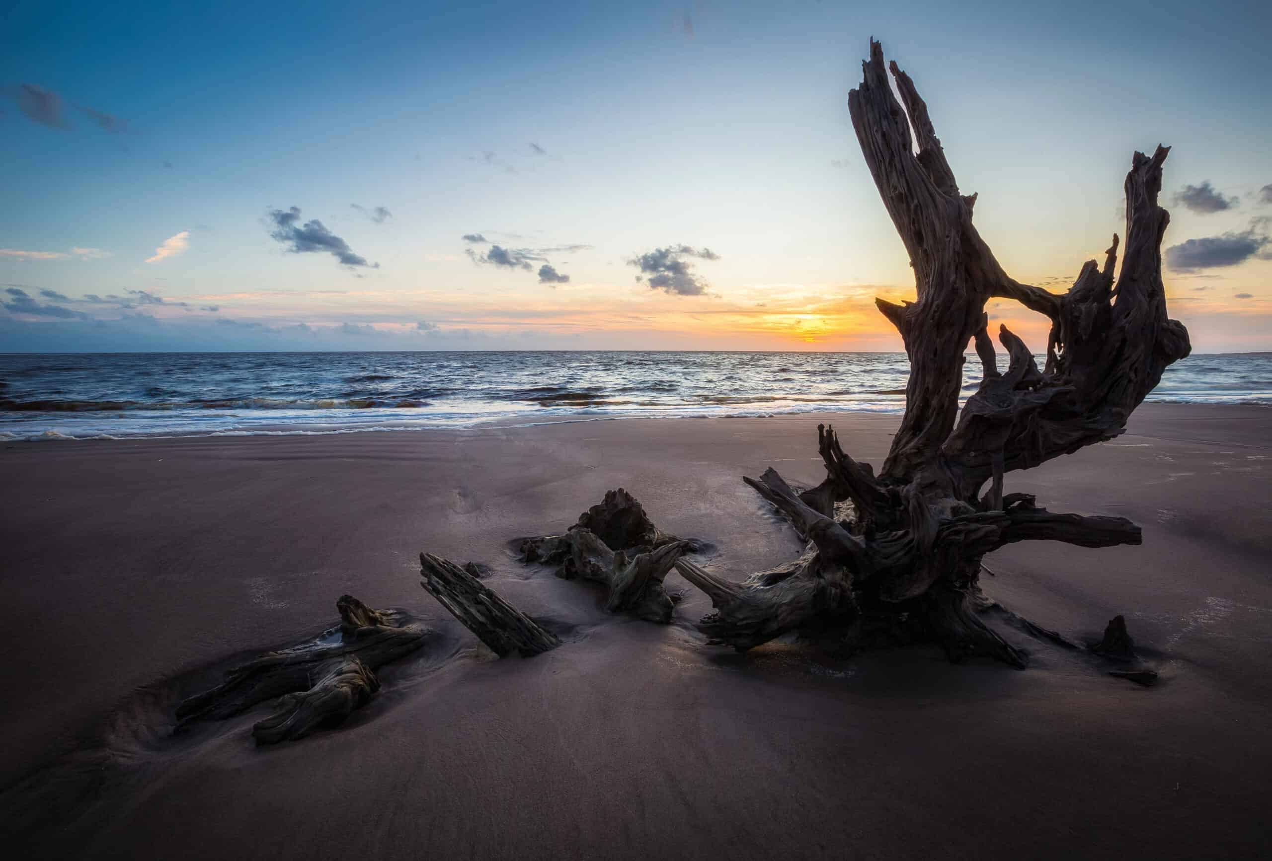 Boneyard Beach, Florida