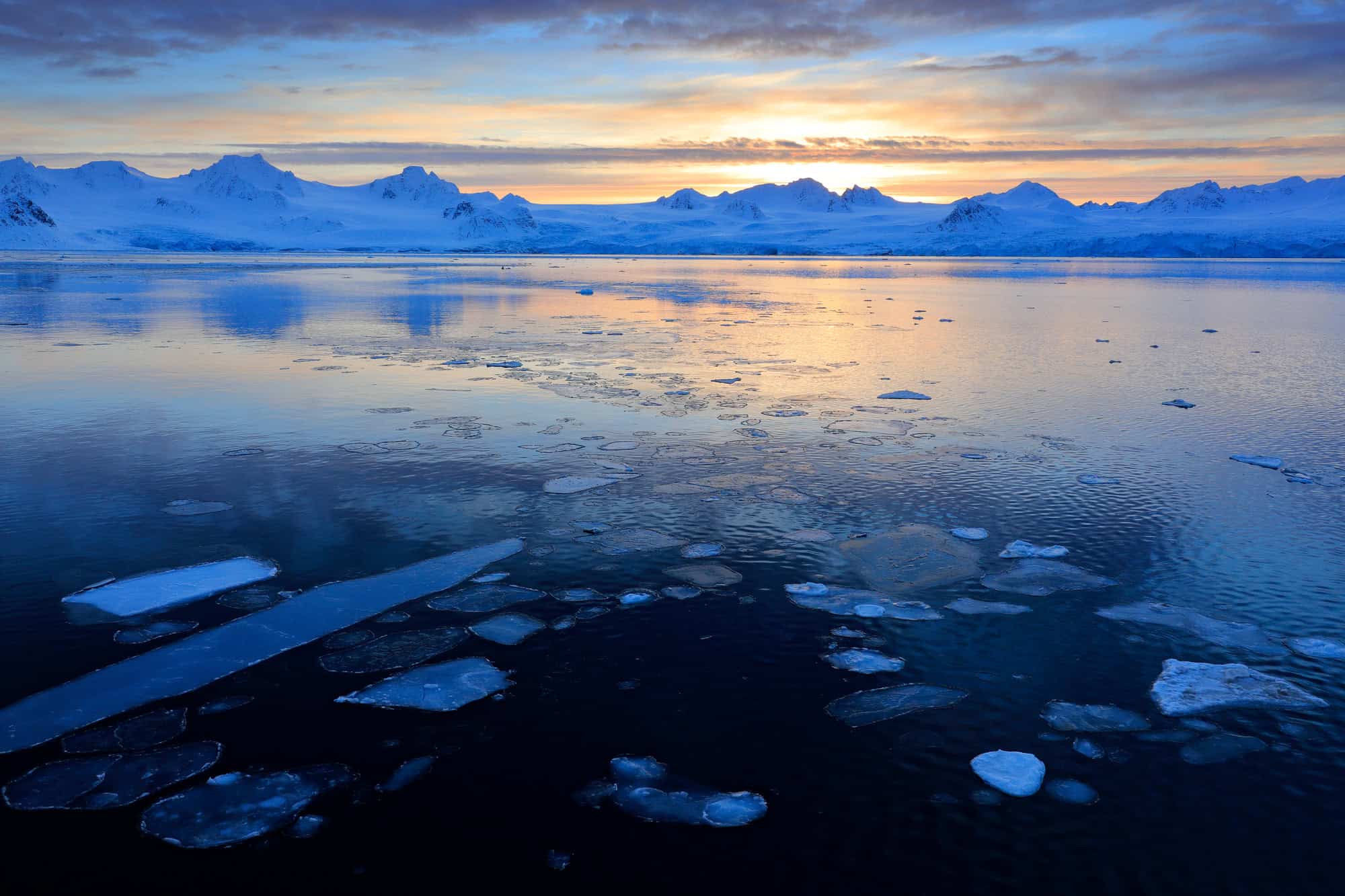 20 Bucket List Experiences Around the World You Can’t Miss 8 Dog Sledding in Svalbard, Norway
