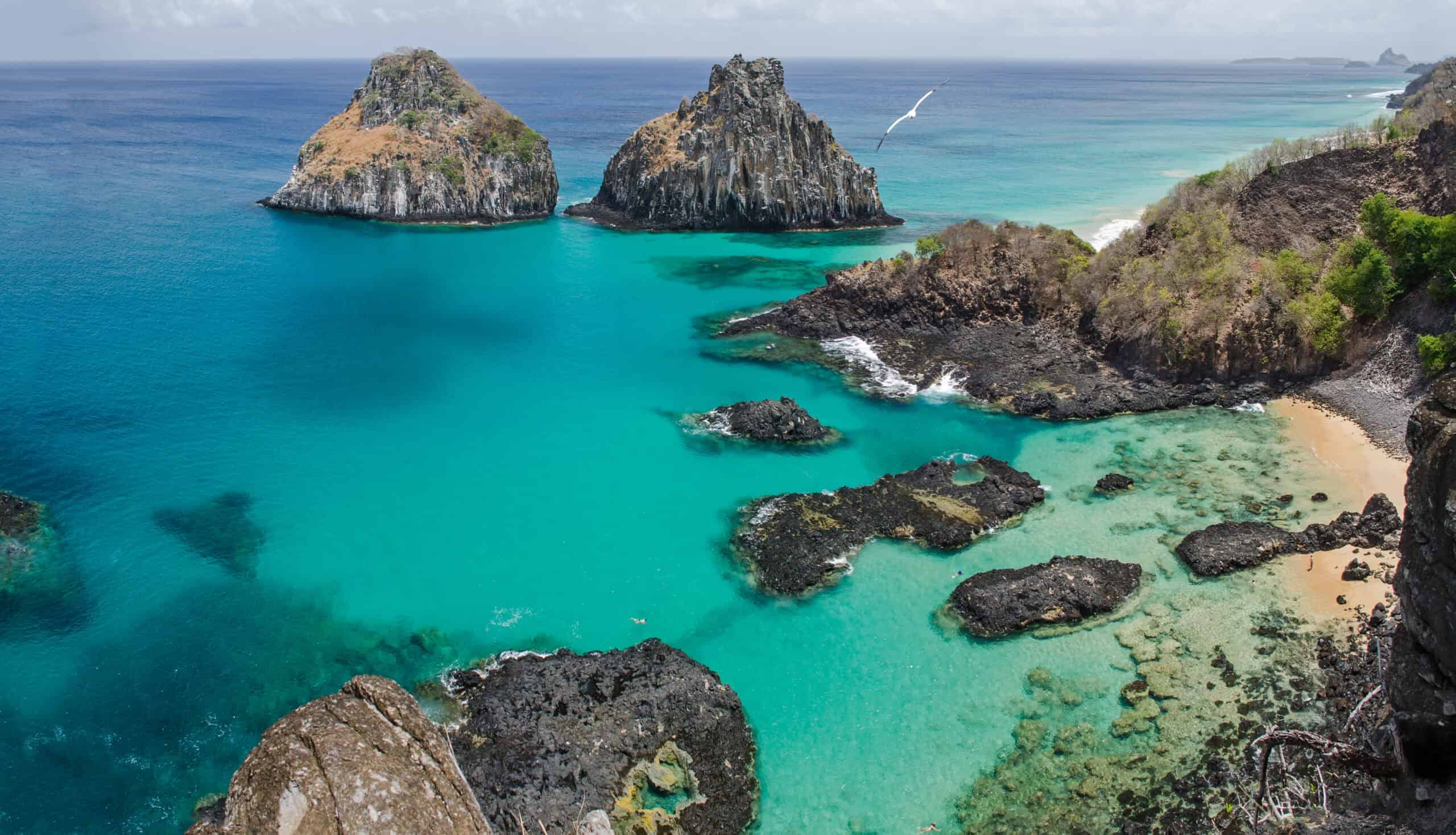 12 Places Around the World Where You Can Swim with Dolphins 8 Fernando de Noronha, Brazil