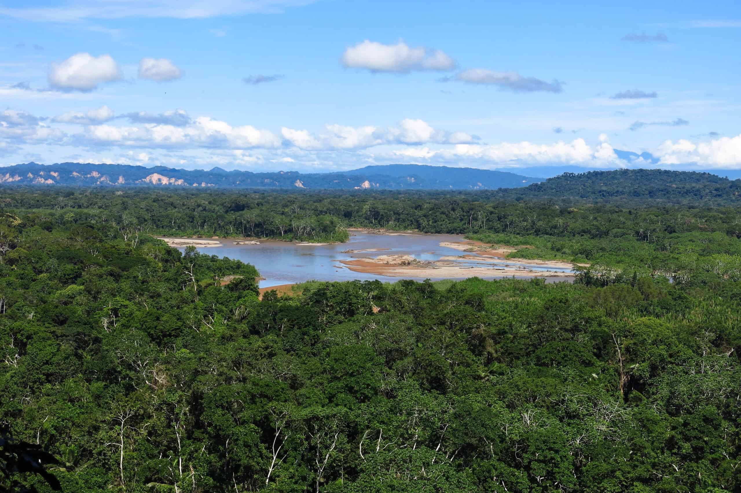 Madidi National Park, Bolivia