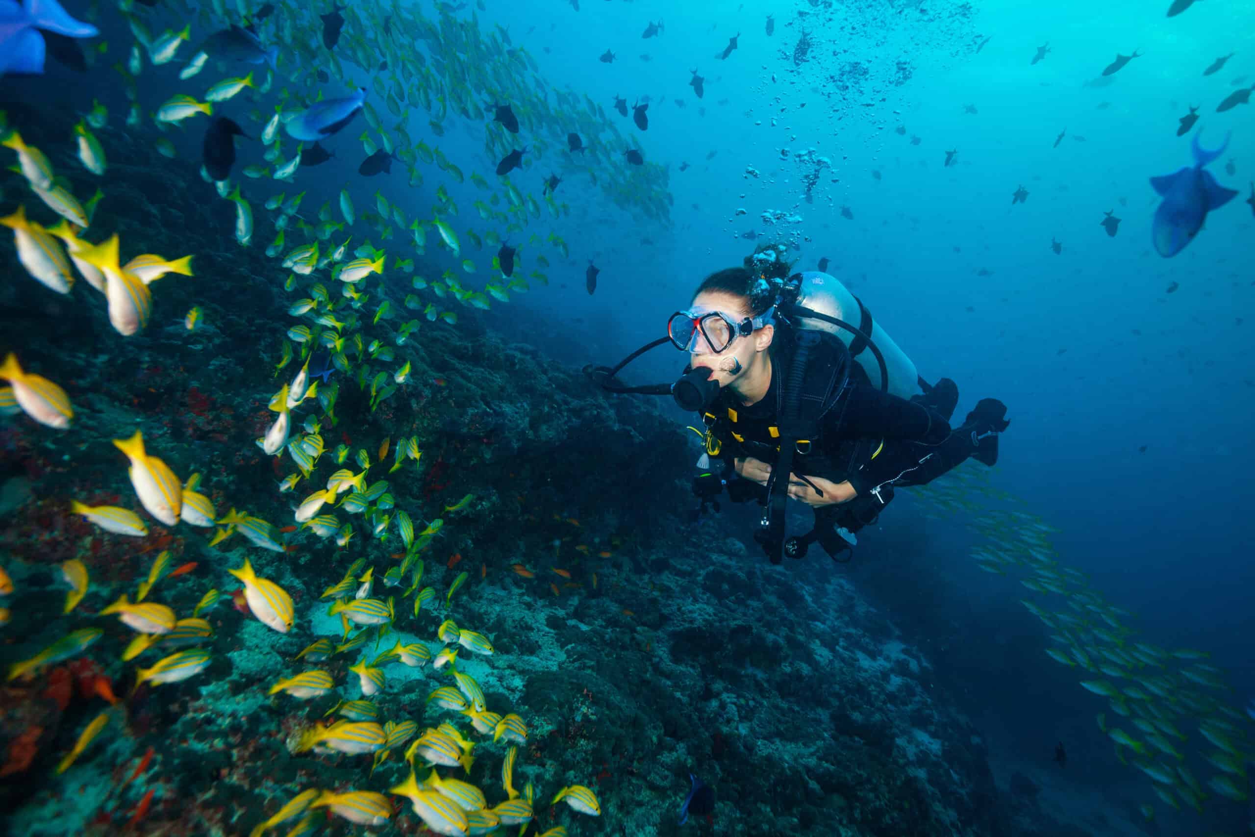 Most Colorful Coral Reefs