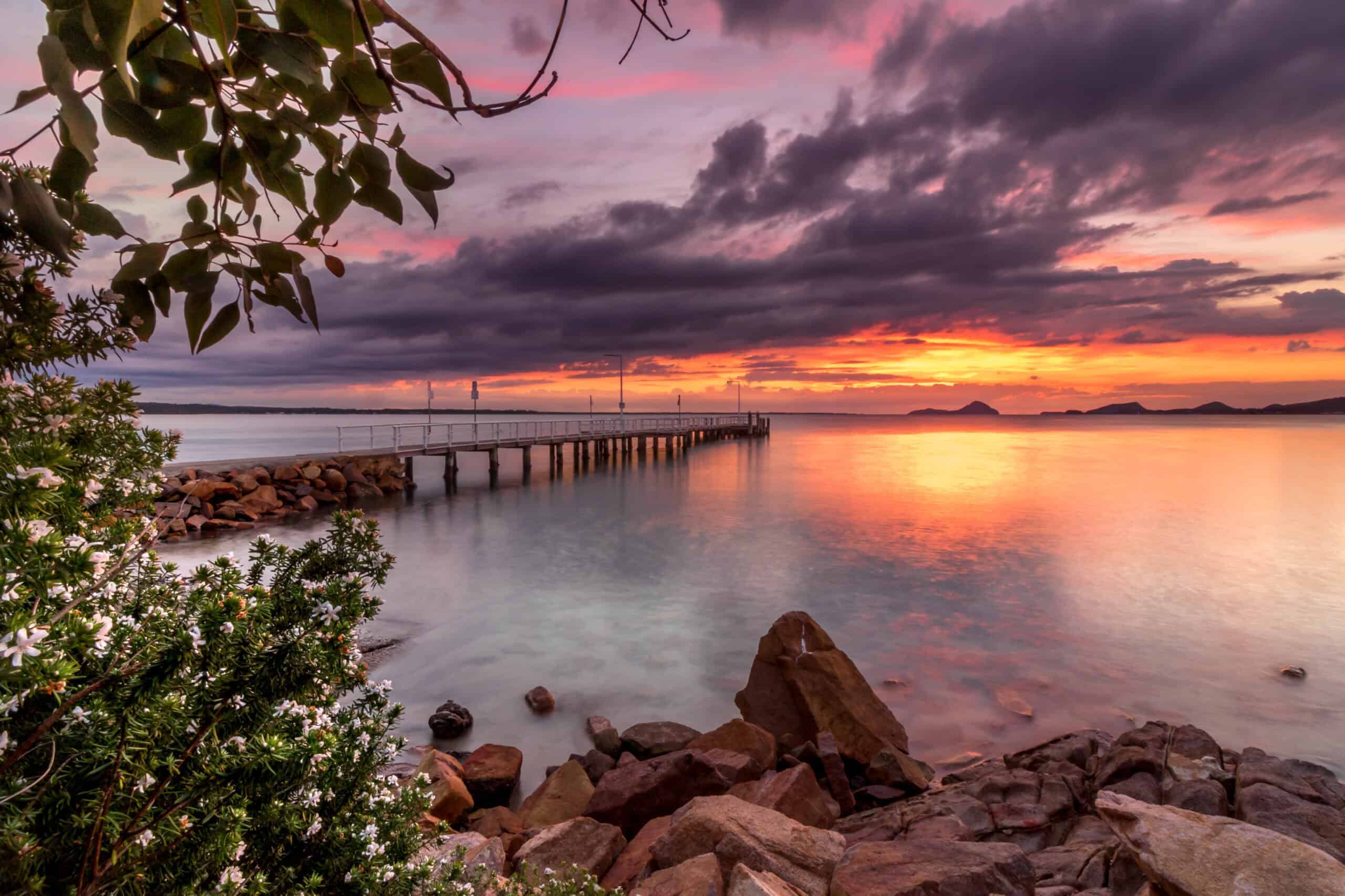 12 Places Around the World Where You Can Swim with Dolphins 12 Port Stephens, Australia
