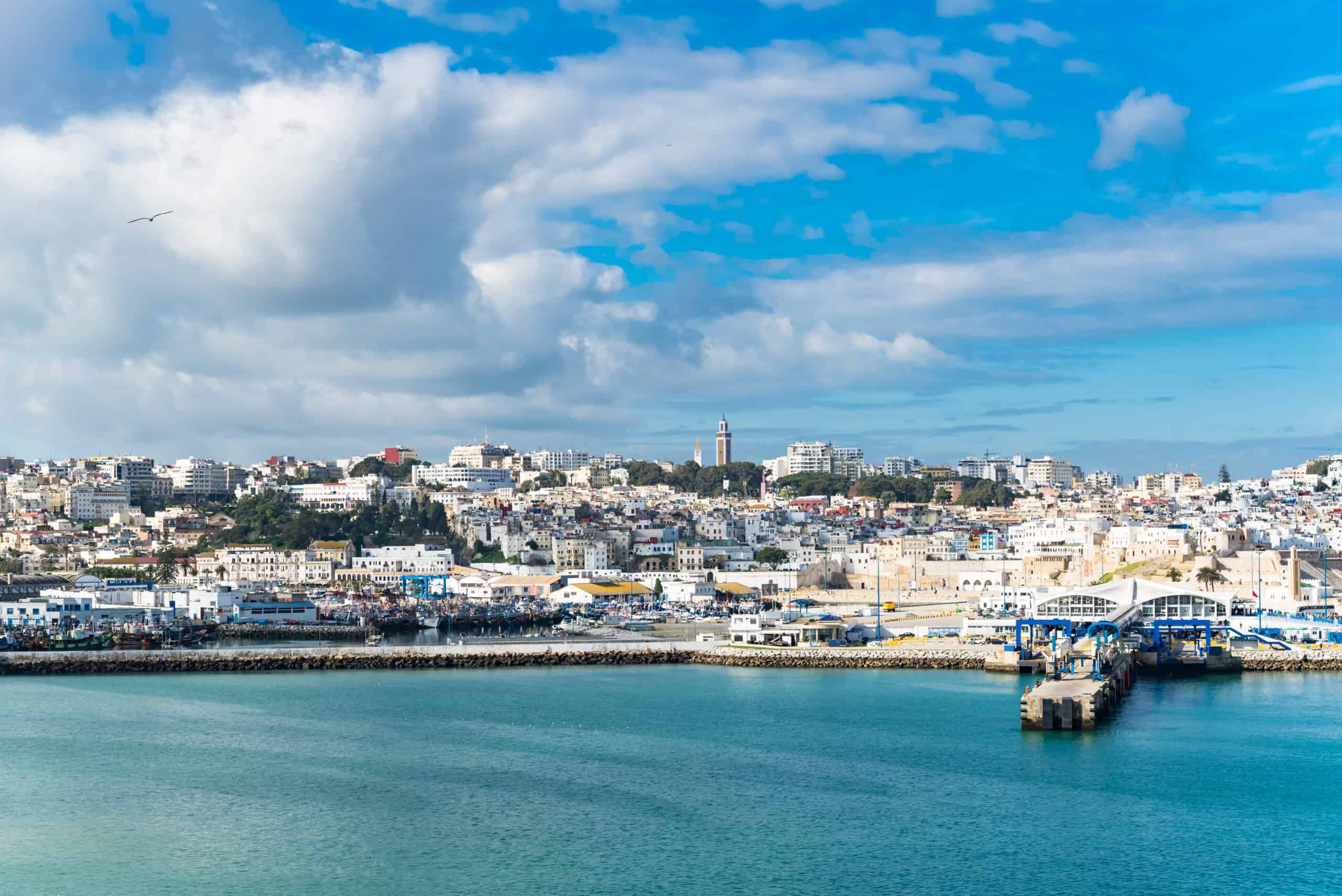 12 Places Around the World Where You Can Swim with Dolphins 11 Tangier, Morocco