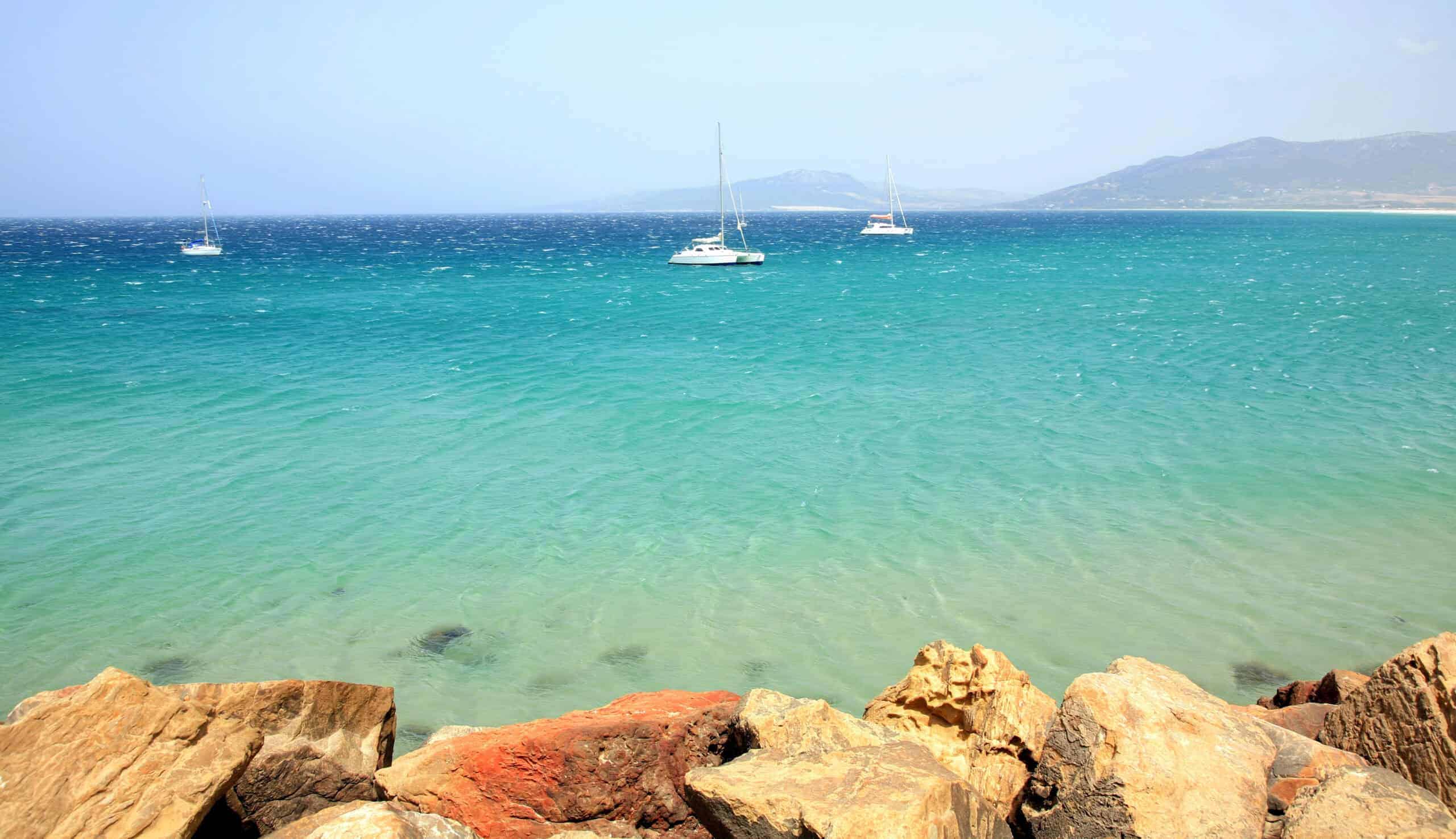 12 Places Around the World Where You Can Swim with Dolphins 10 Tarifa, Spain