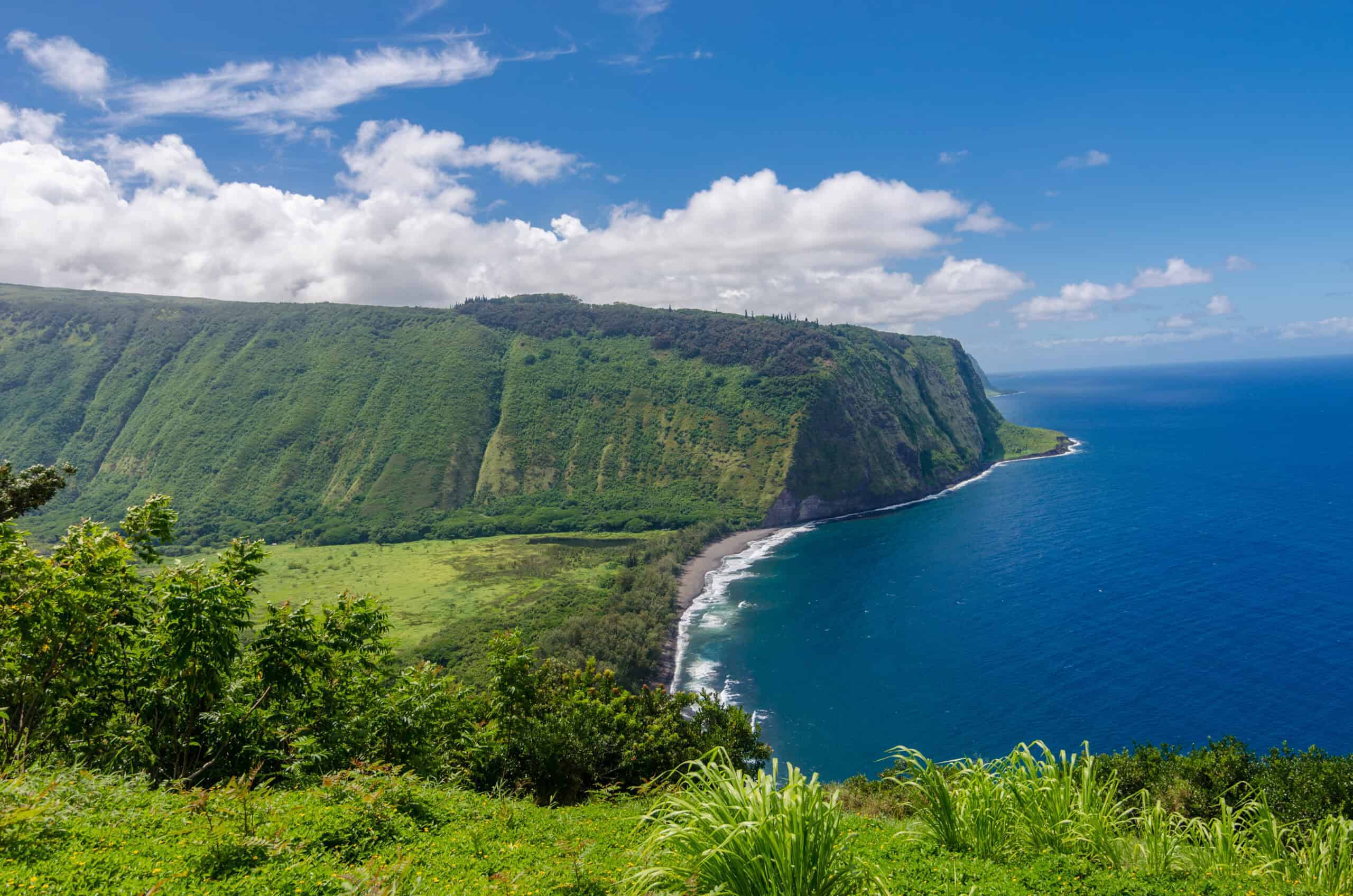 12 Places Around the World Where You Can Swim with Dolphins 6 The Big Island, Hawaii, USA