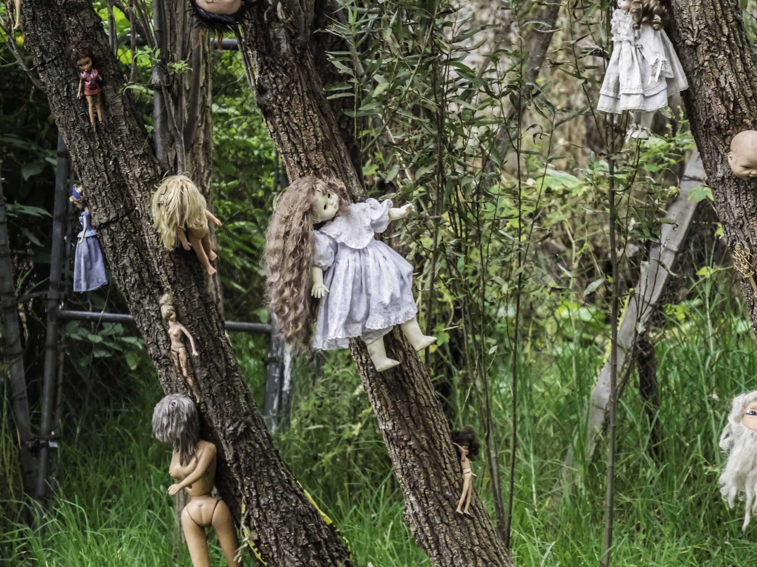 10 Most Mysterious Places on Earth That Science Can’t Explain 6 The Island of the Dolls, Mexico