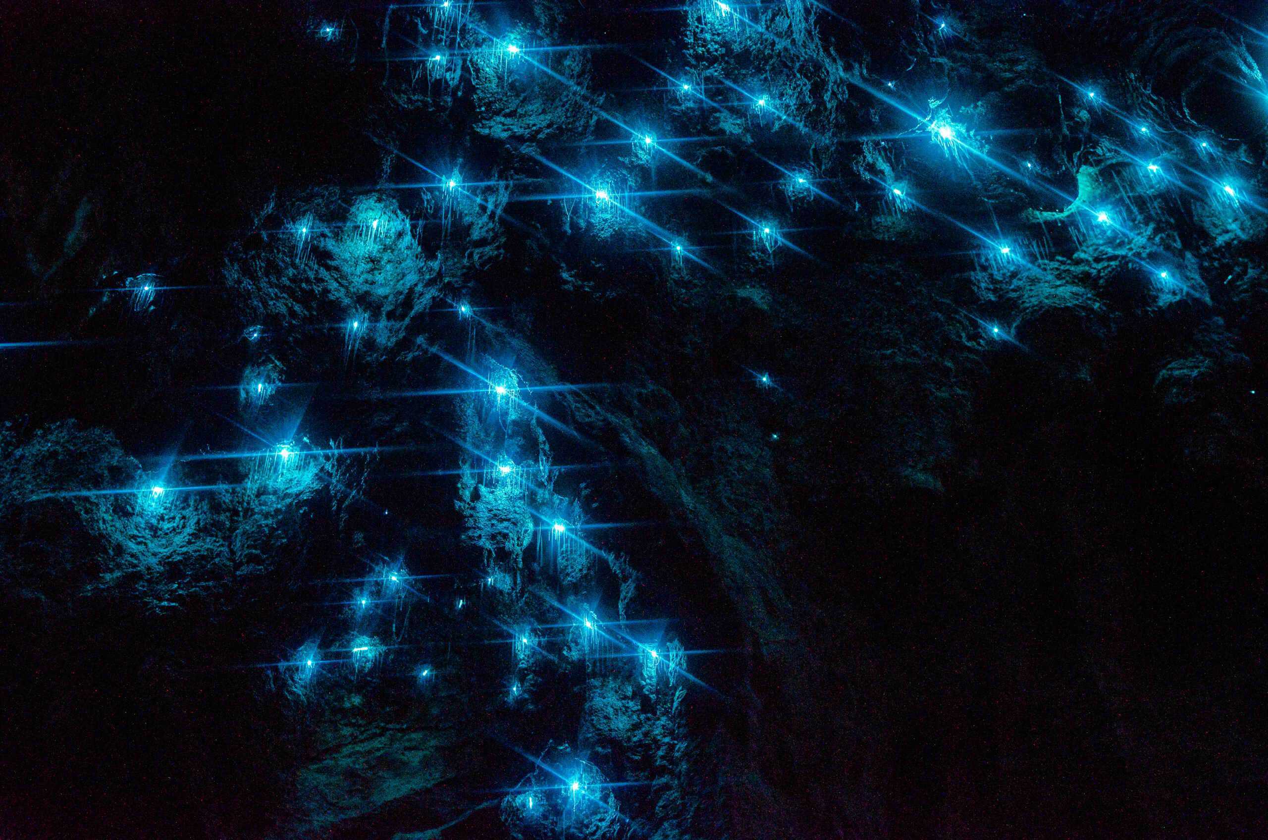 10 Most Amazing Underground Destinations You Didn’t Know Existed 3 Waitomo Glowworm Caves, New Zealand