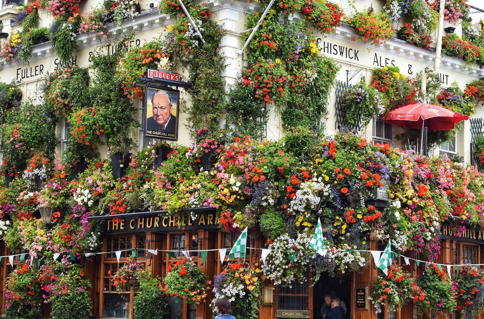 assorted flowers on building