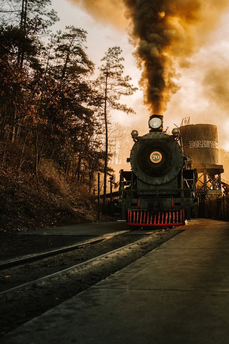 TripAdvisor's Theme Park Rankings Are So Bad They're Actually Hilarious 14 a steam engine train traveling down train tracks