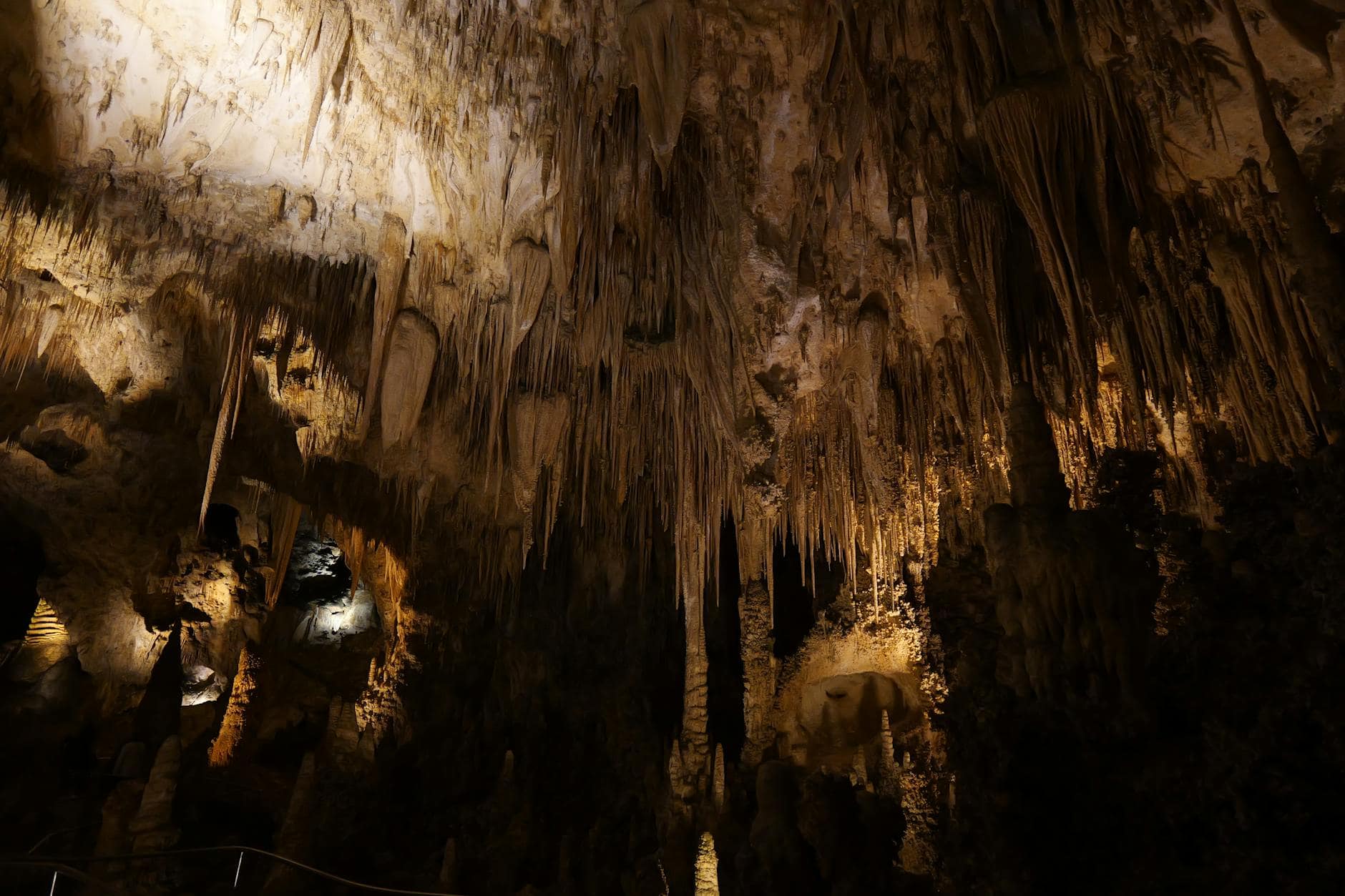 Discover the illuminated wonders of Carlsbad Caverns with stunning stalactites and mesmerizing cave formations.