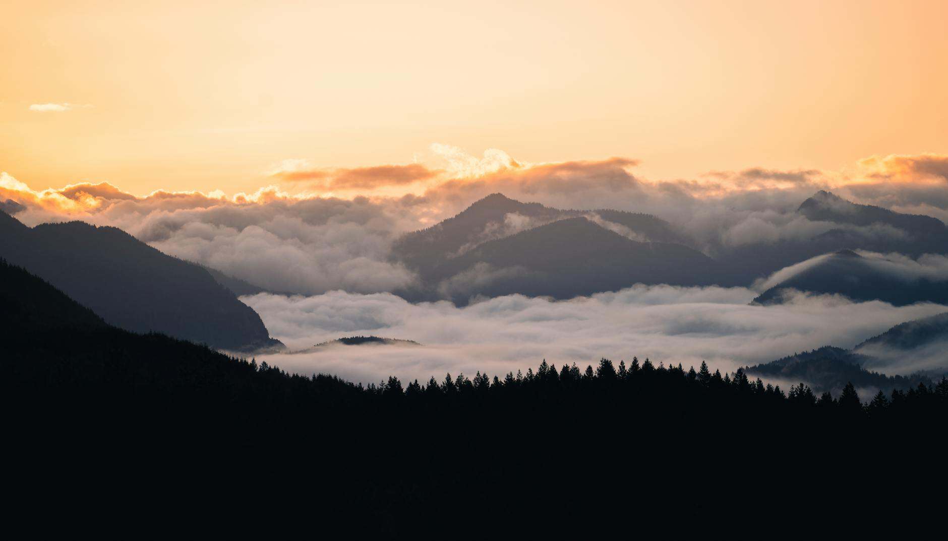 Misty mountain range at sunrise with fog and forest silhouettes in Washington, USA.