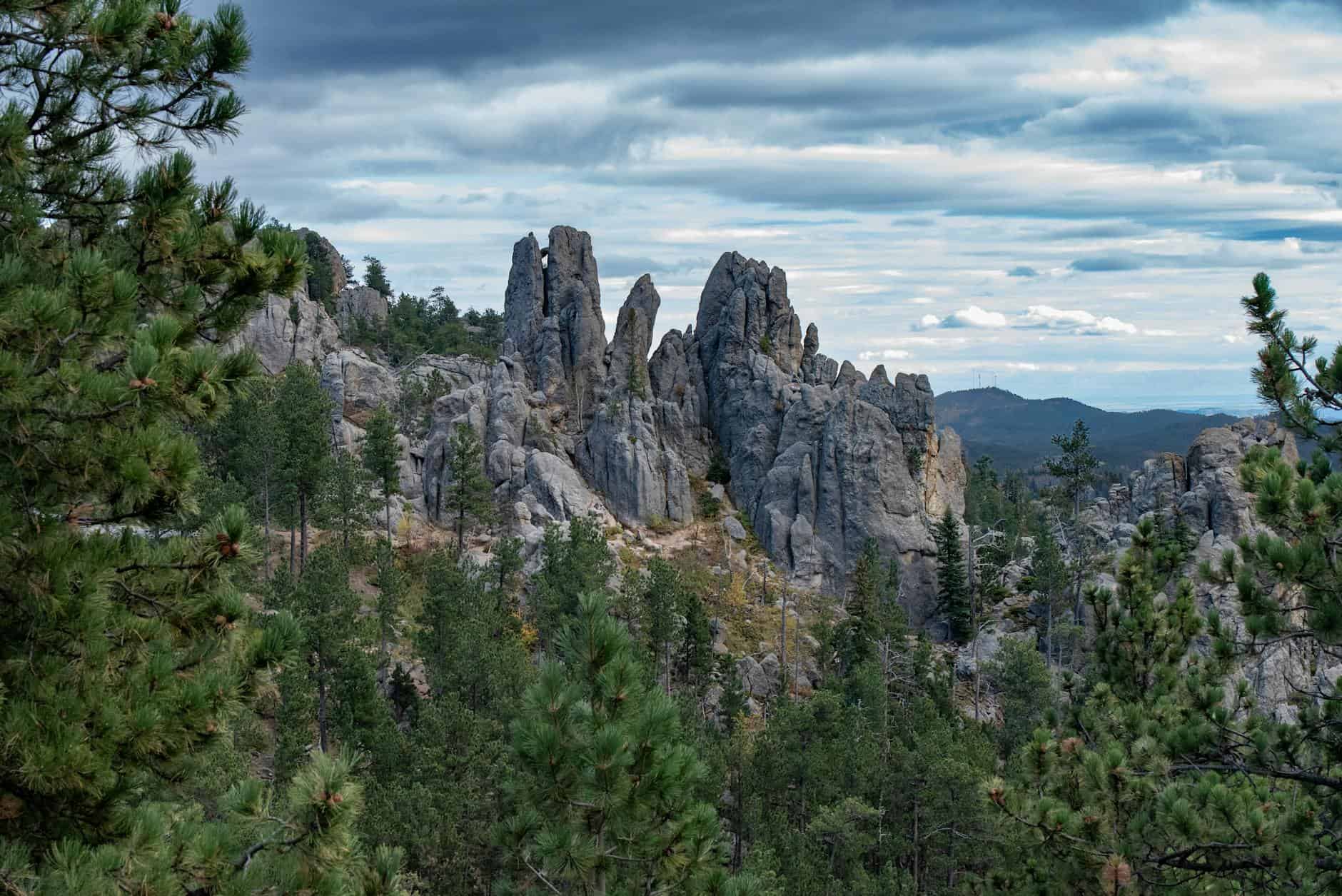 Breathtaking view of needle-like rock formations surrounded by lush greenery in Hill City, South Dakota.