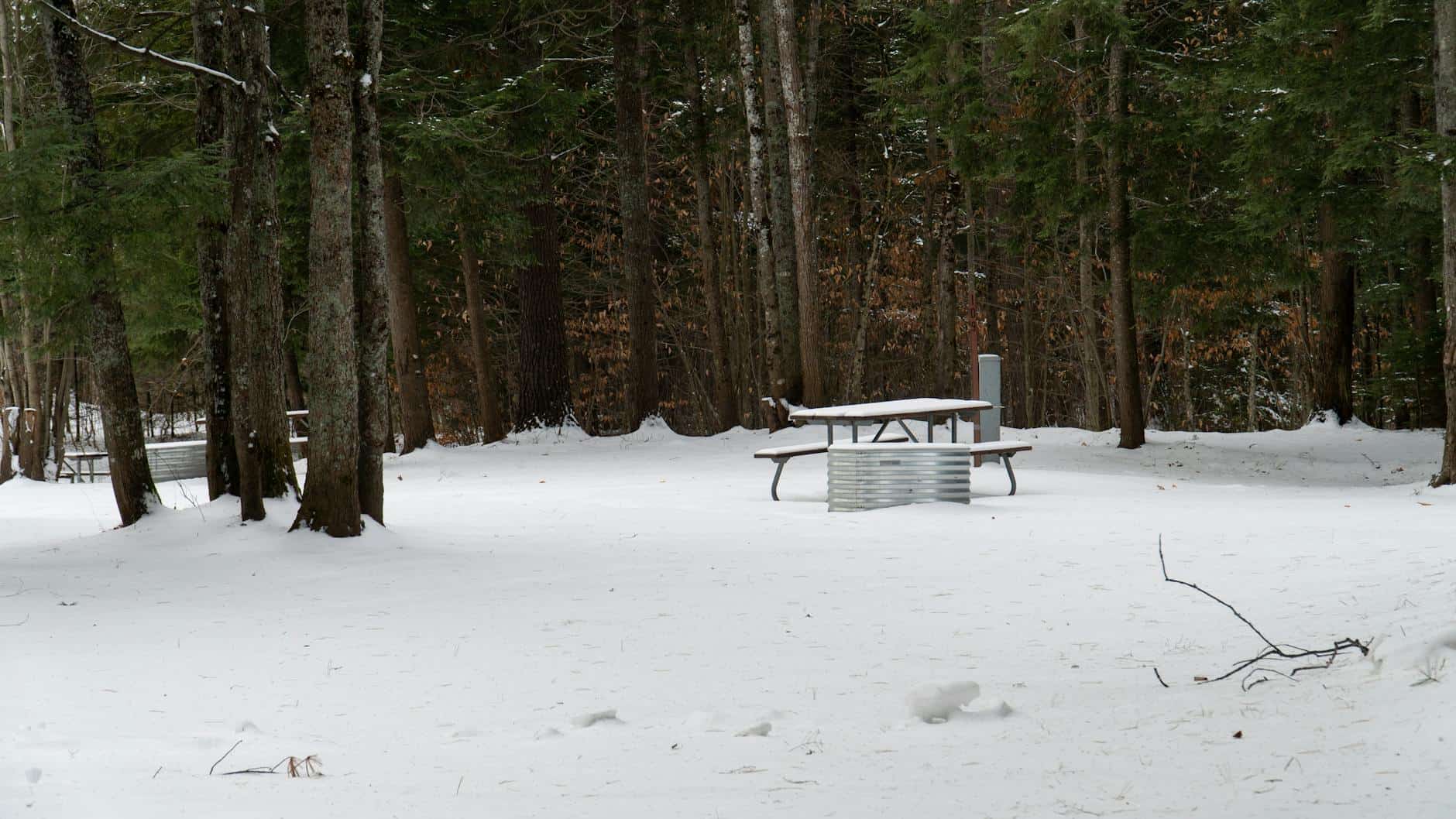 Tranquil snowy forest scene with a picnic table in Michigan's winter.