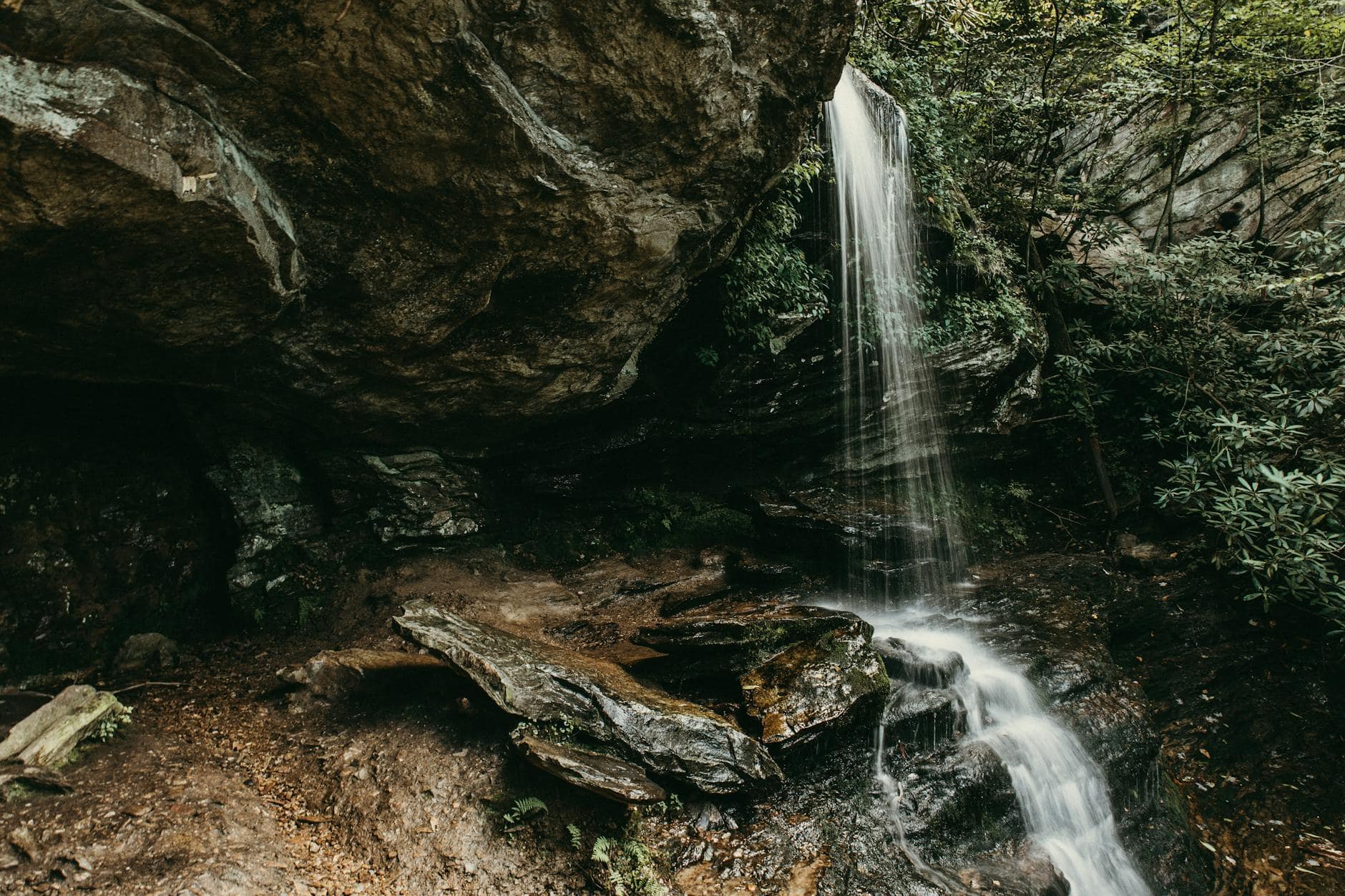 Serene waterfall flowing over mossy rocks in Danbury, NC surrounded by lush greenery.