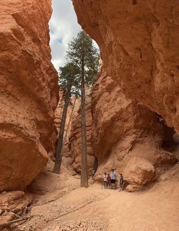 A Bryce Canyon trail running between orange hoodoo walls